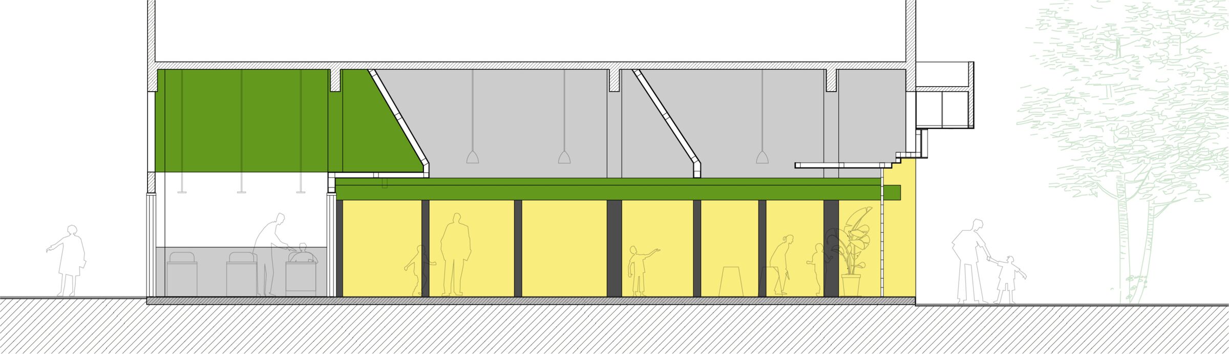 Elevation