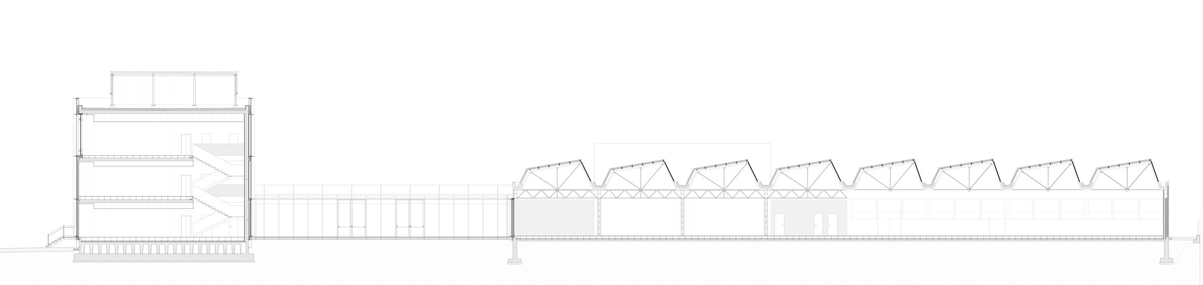 Longitudinal section