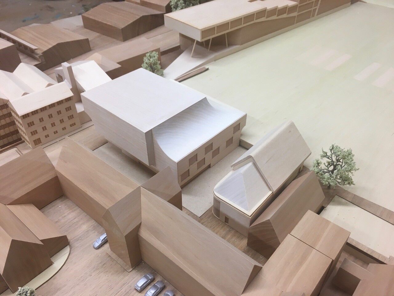 PAC Brighton College - Site model