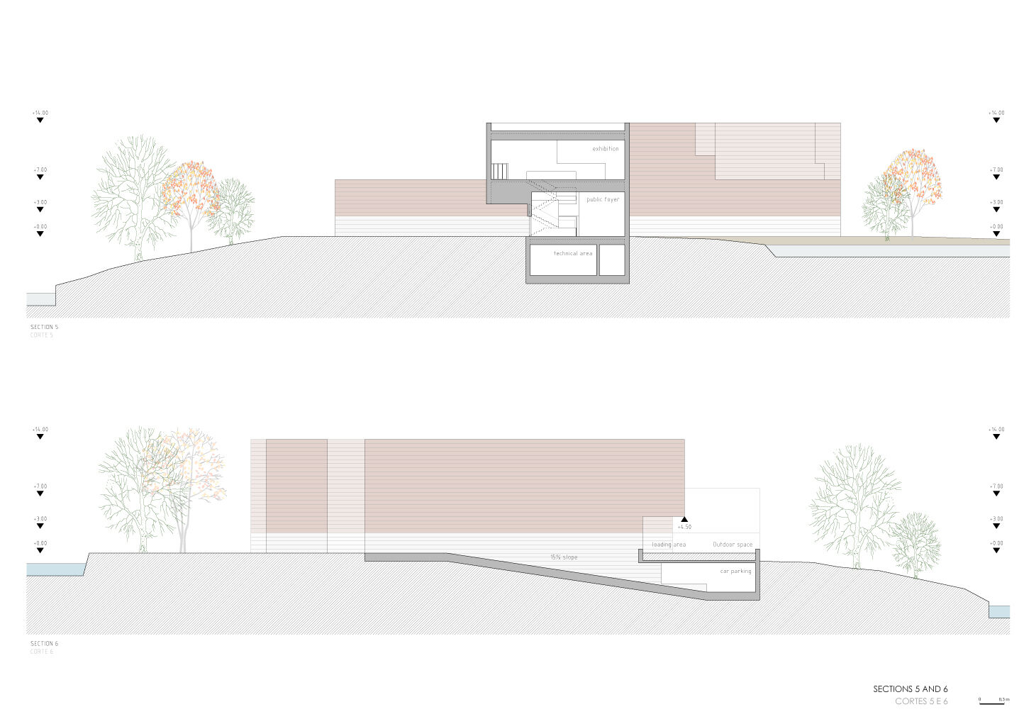 Sections 5 and 6