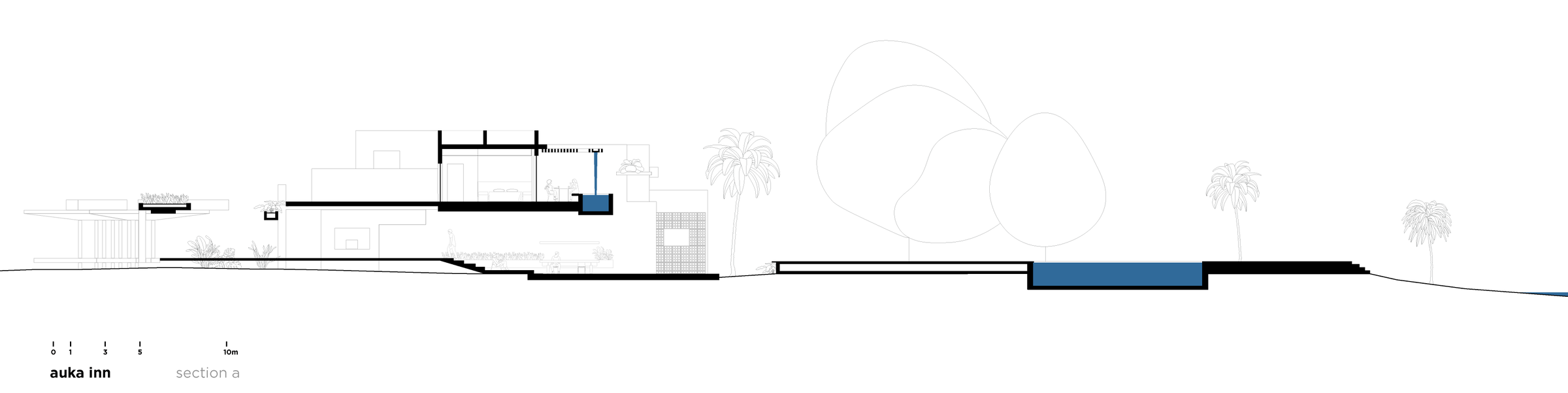 section