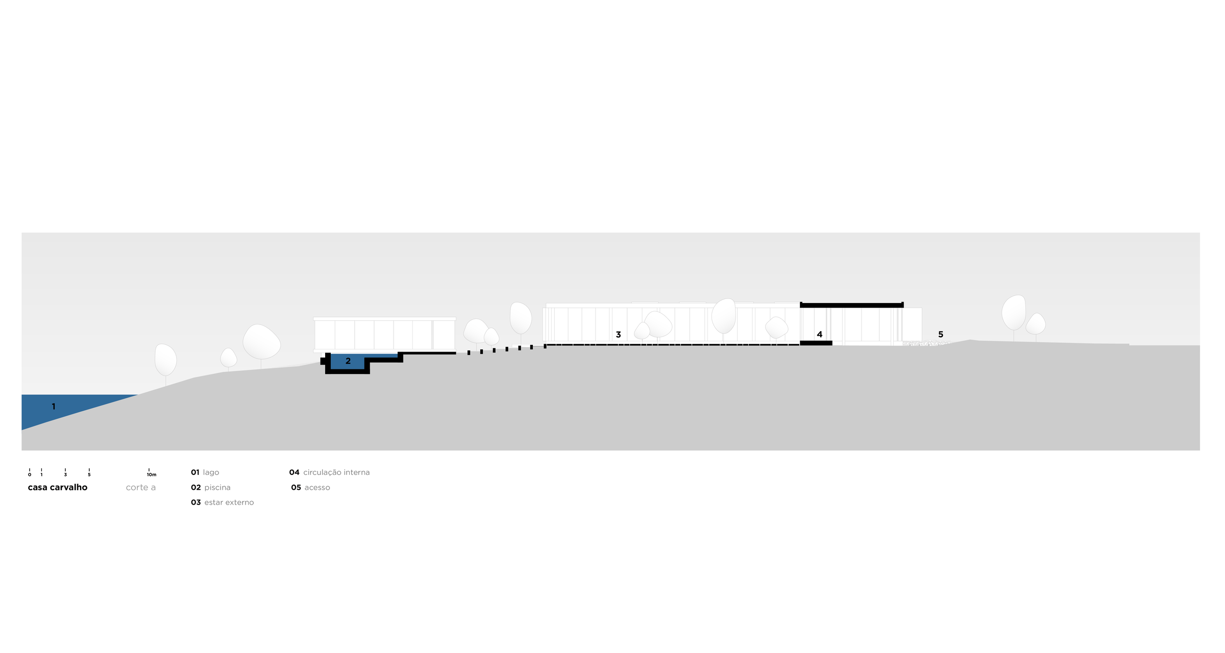 section