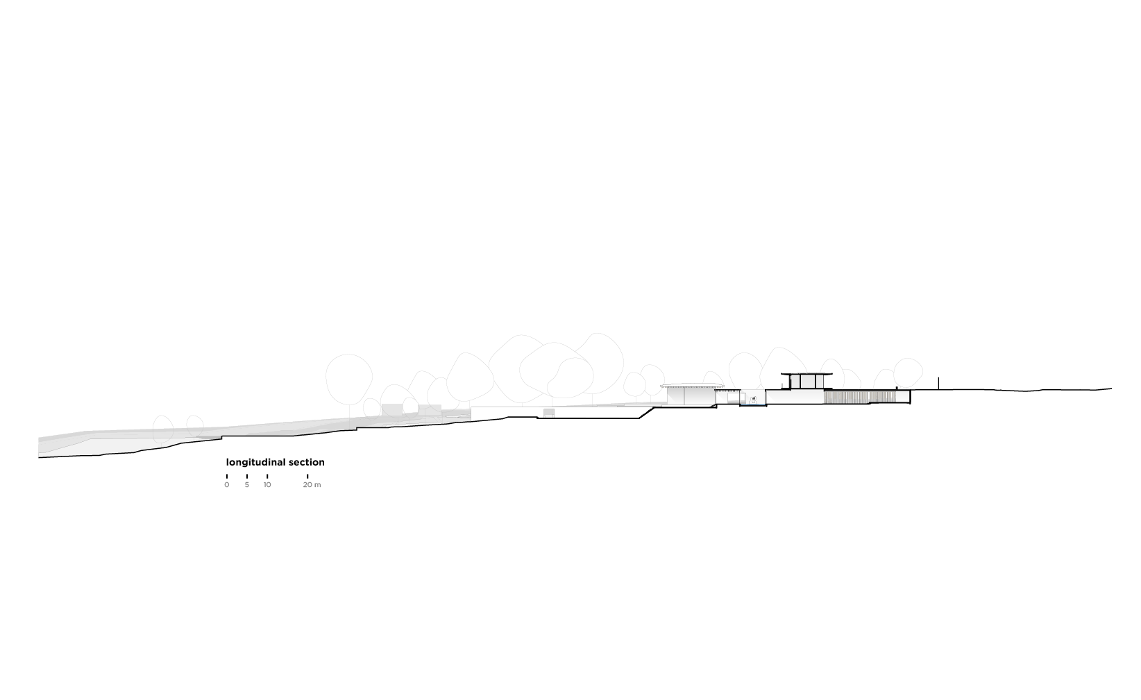 section