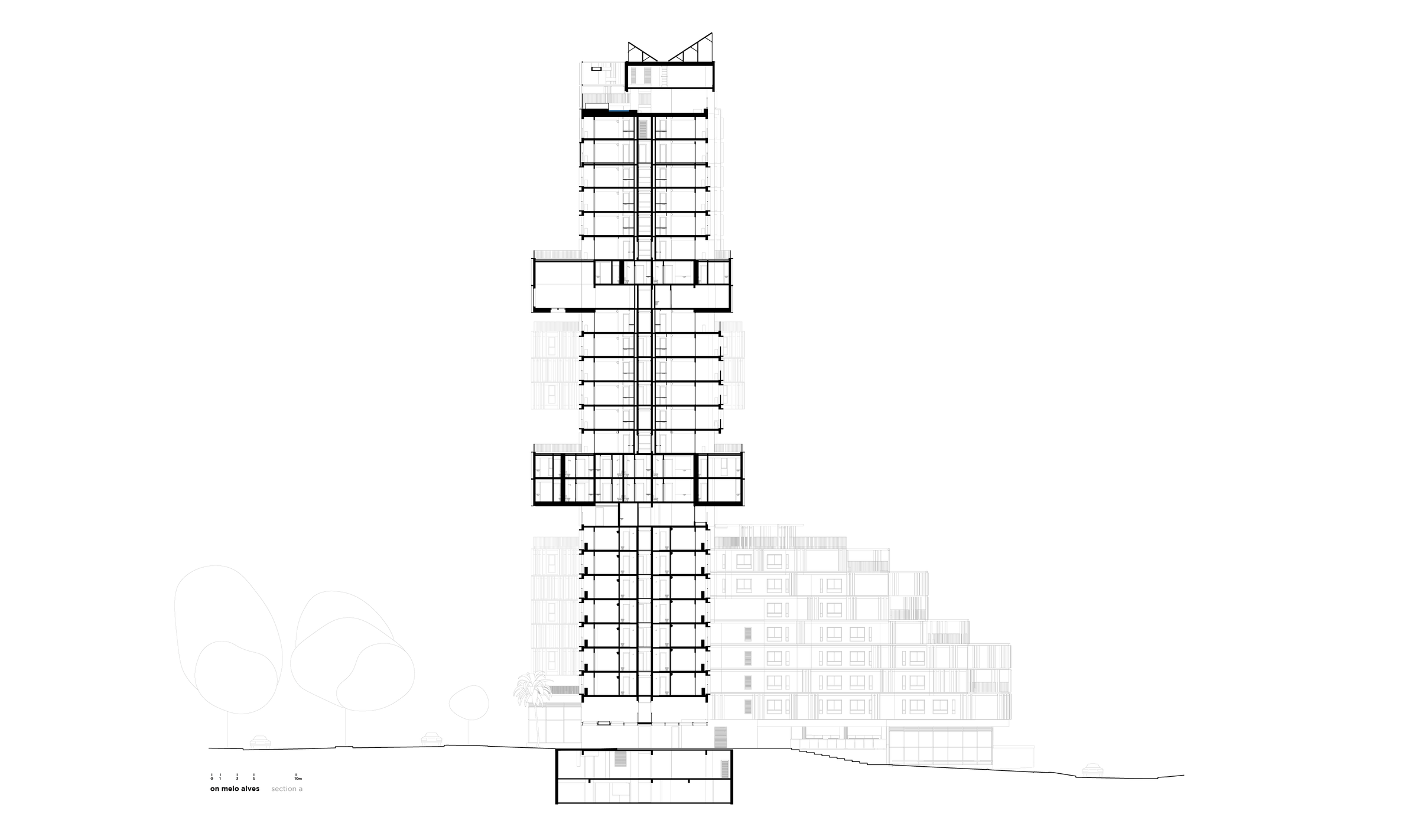 section