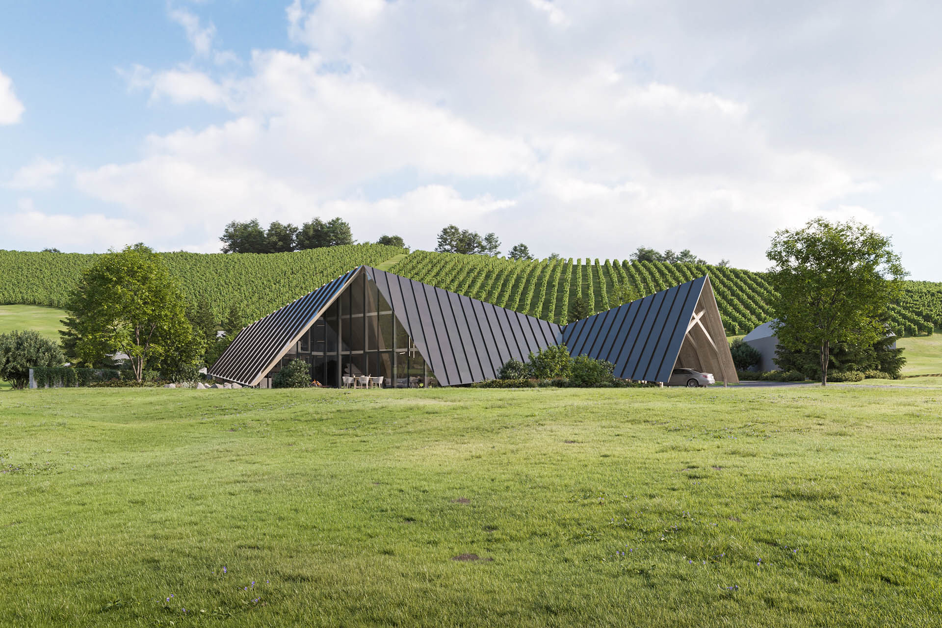 The seamless integration of the building with the surrounding vineyards