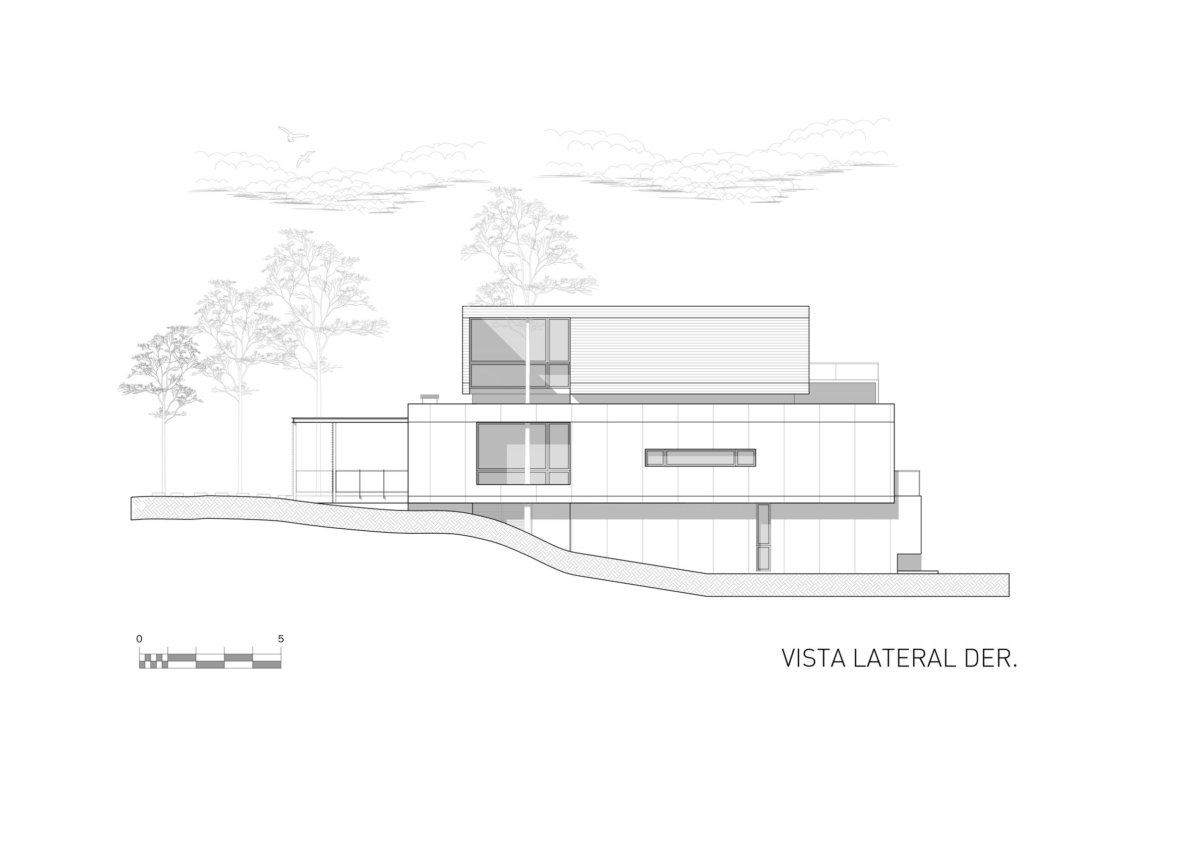 Side View