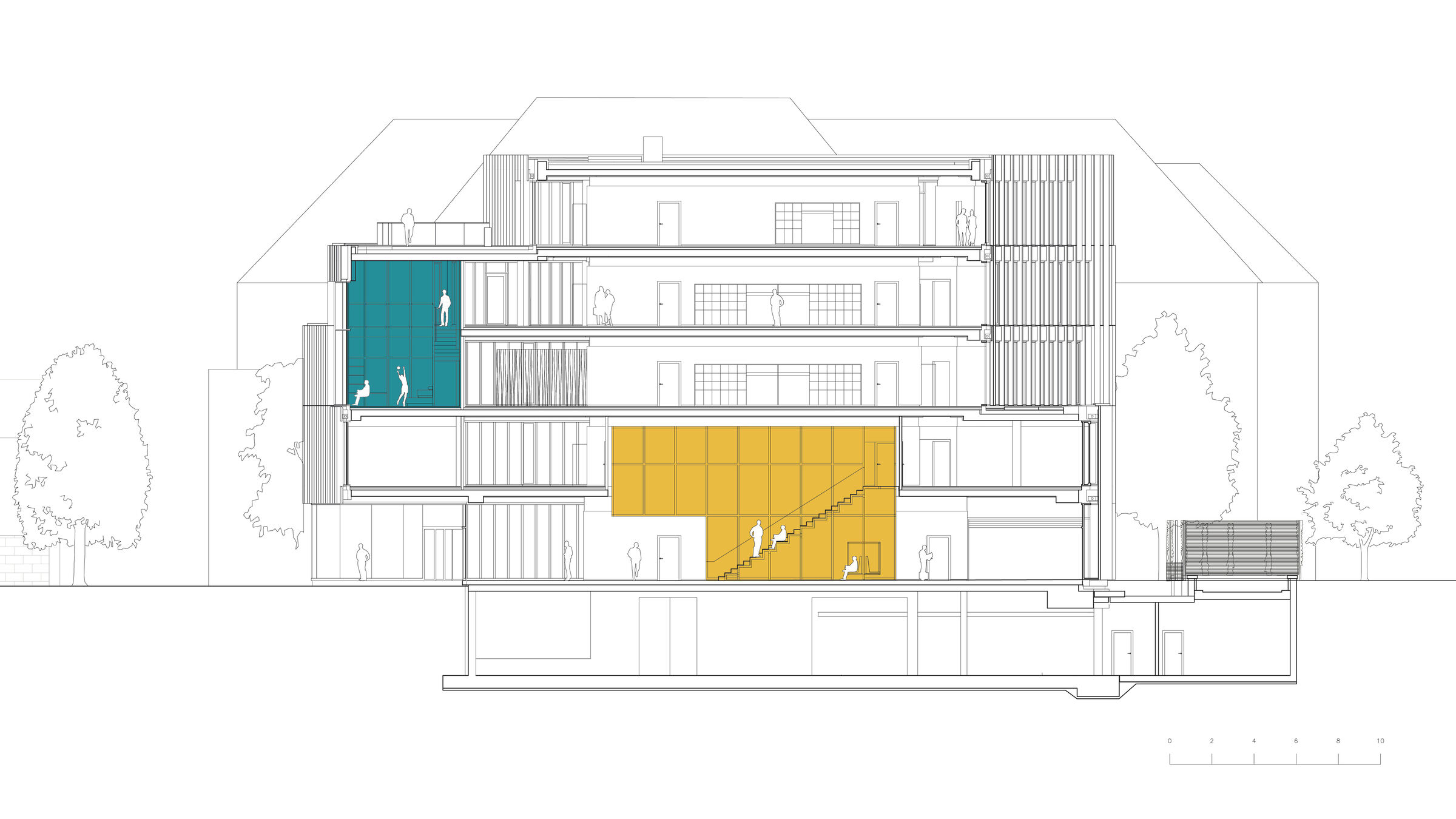 Section