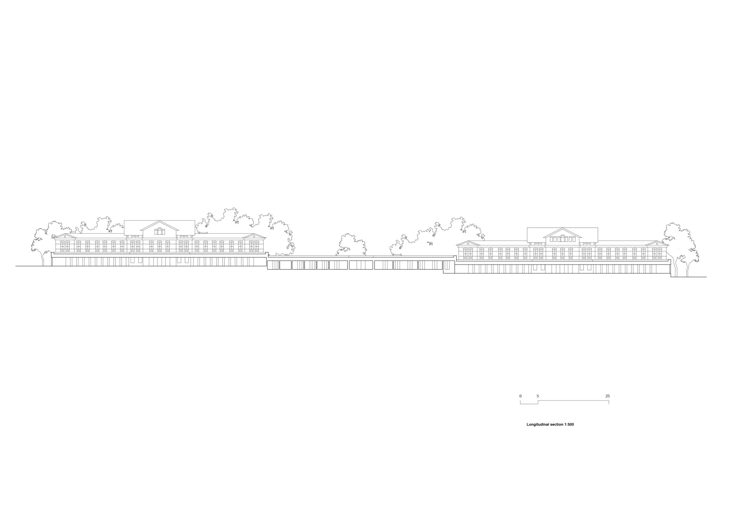 Longitudinal section