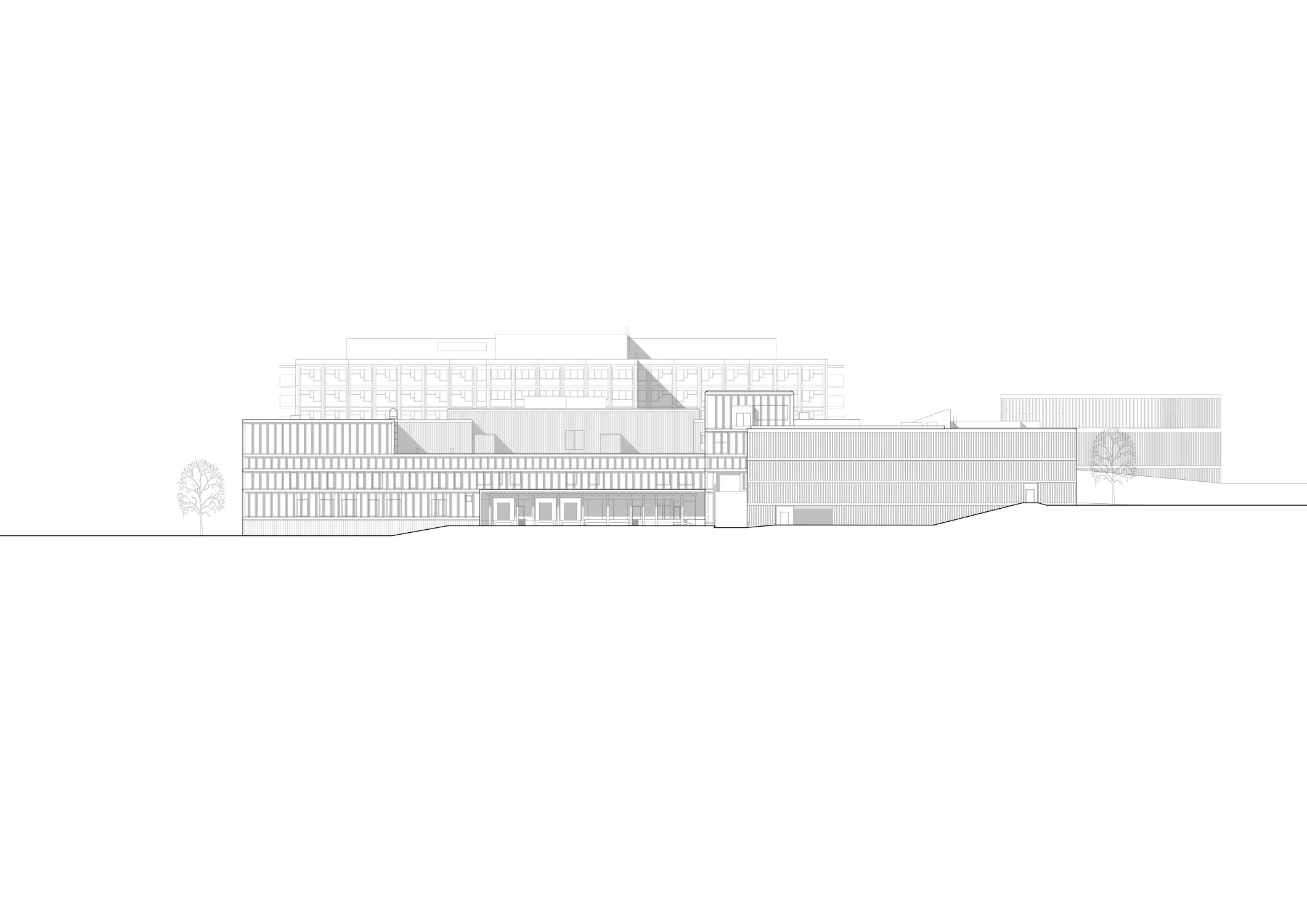 Elevation to east