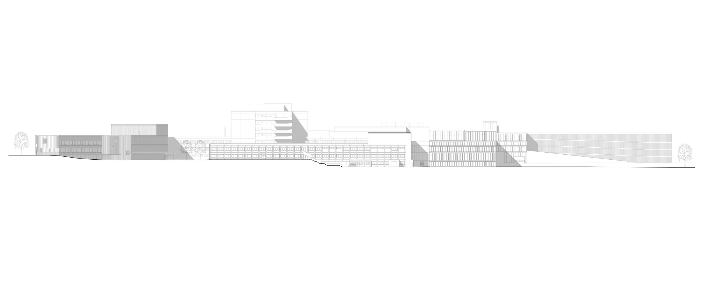 Elevation to South