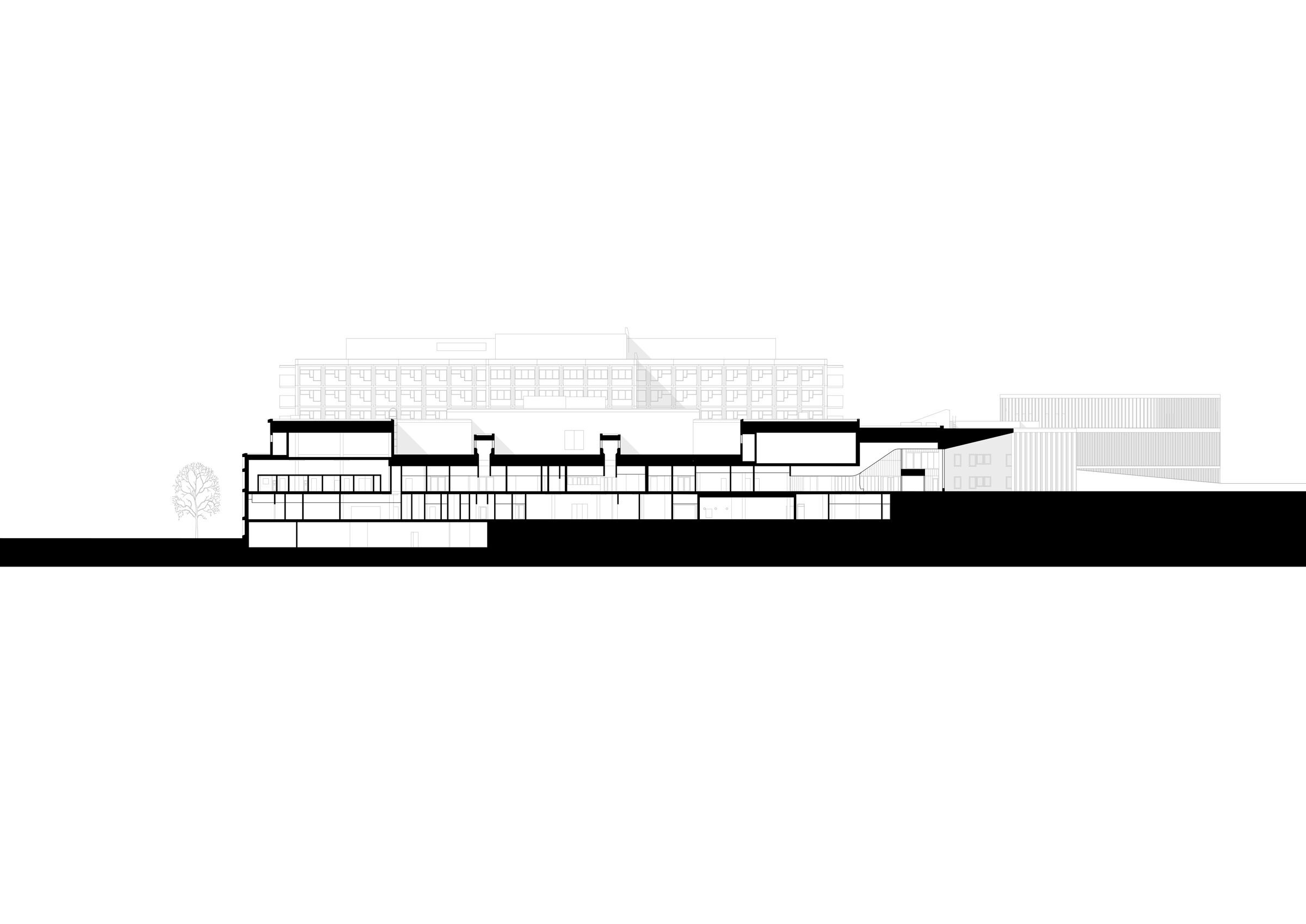 Section