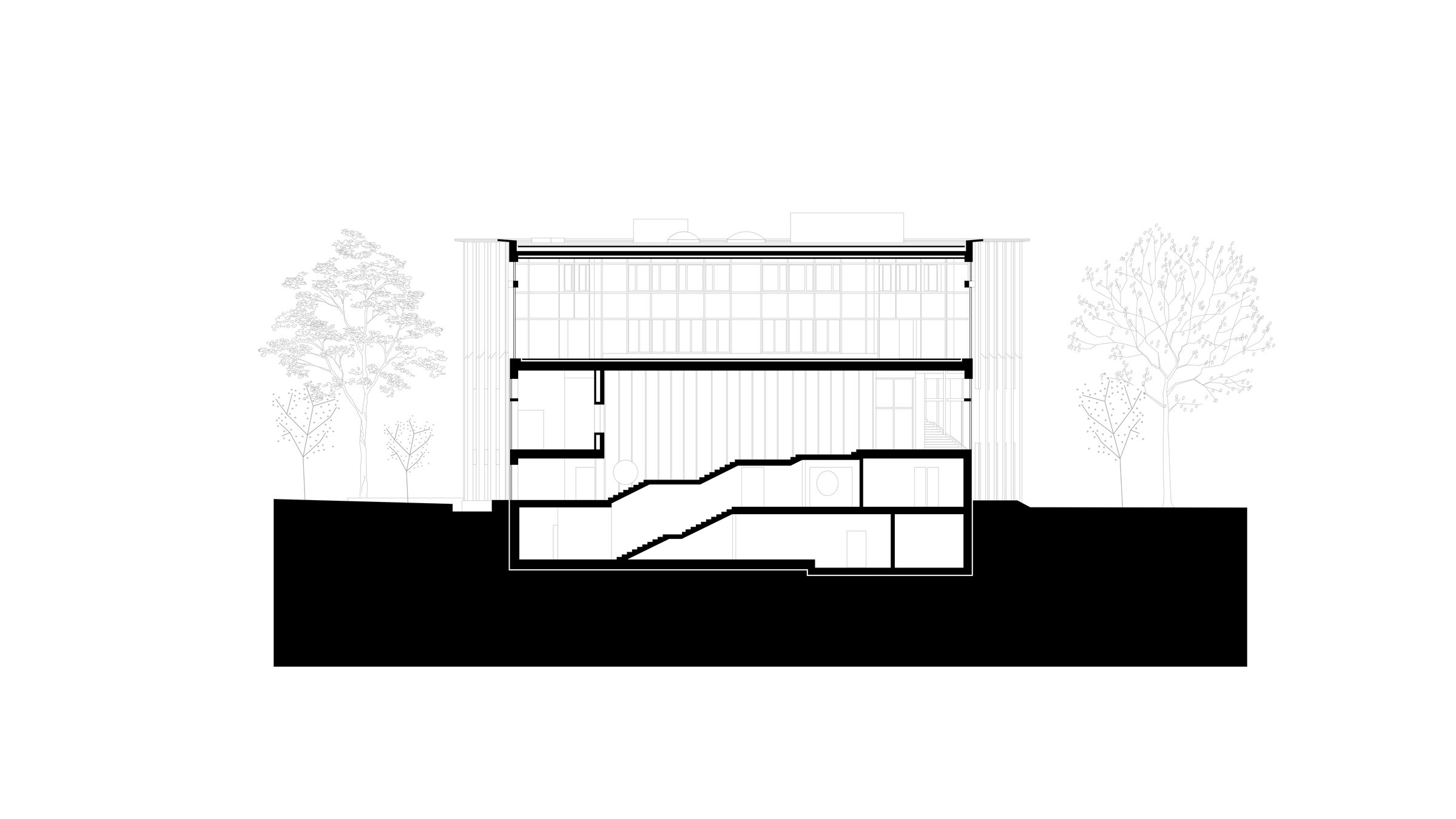 Section 1