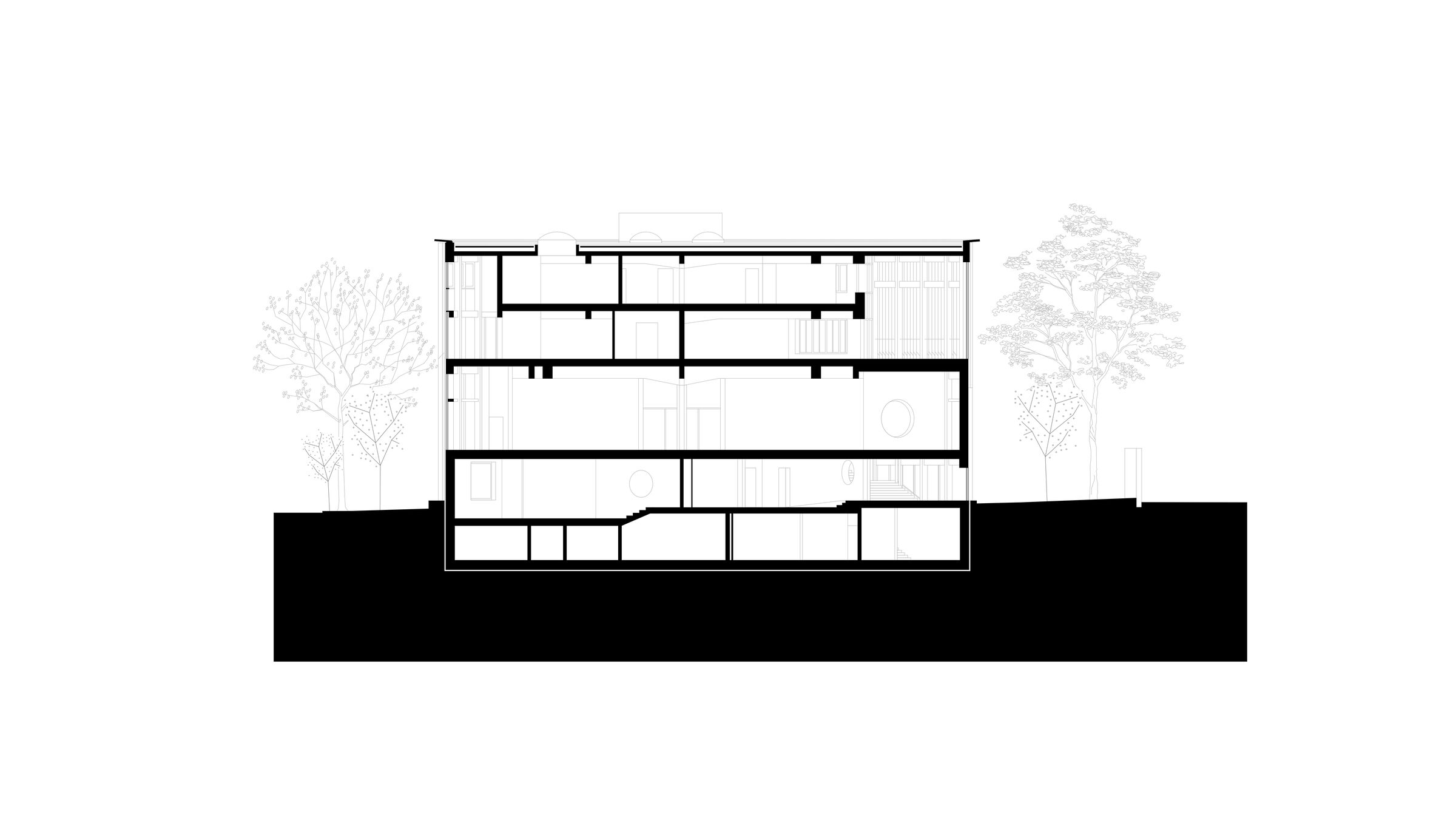 Section 2