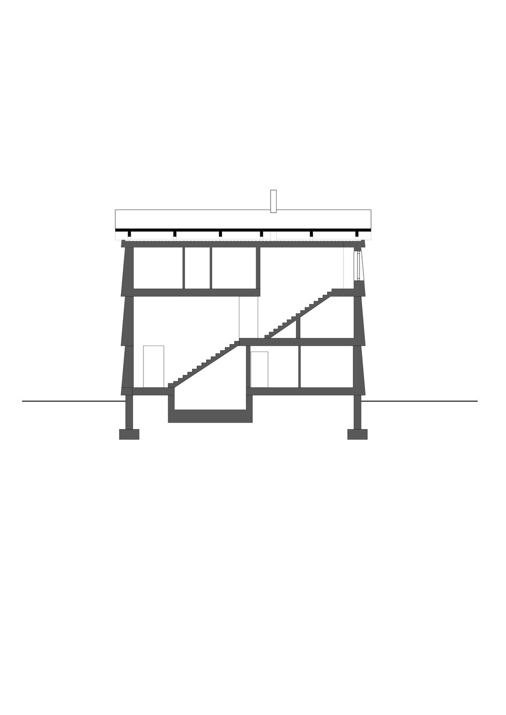 longitudinal section