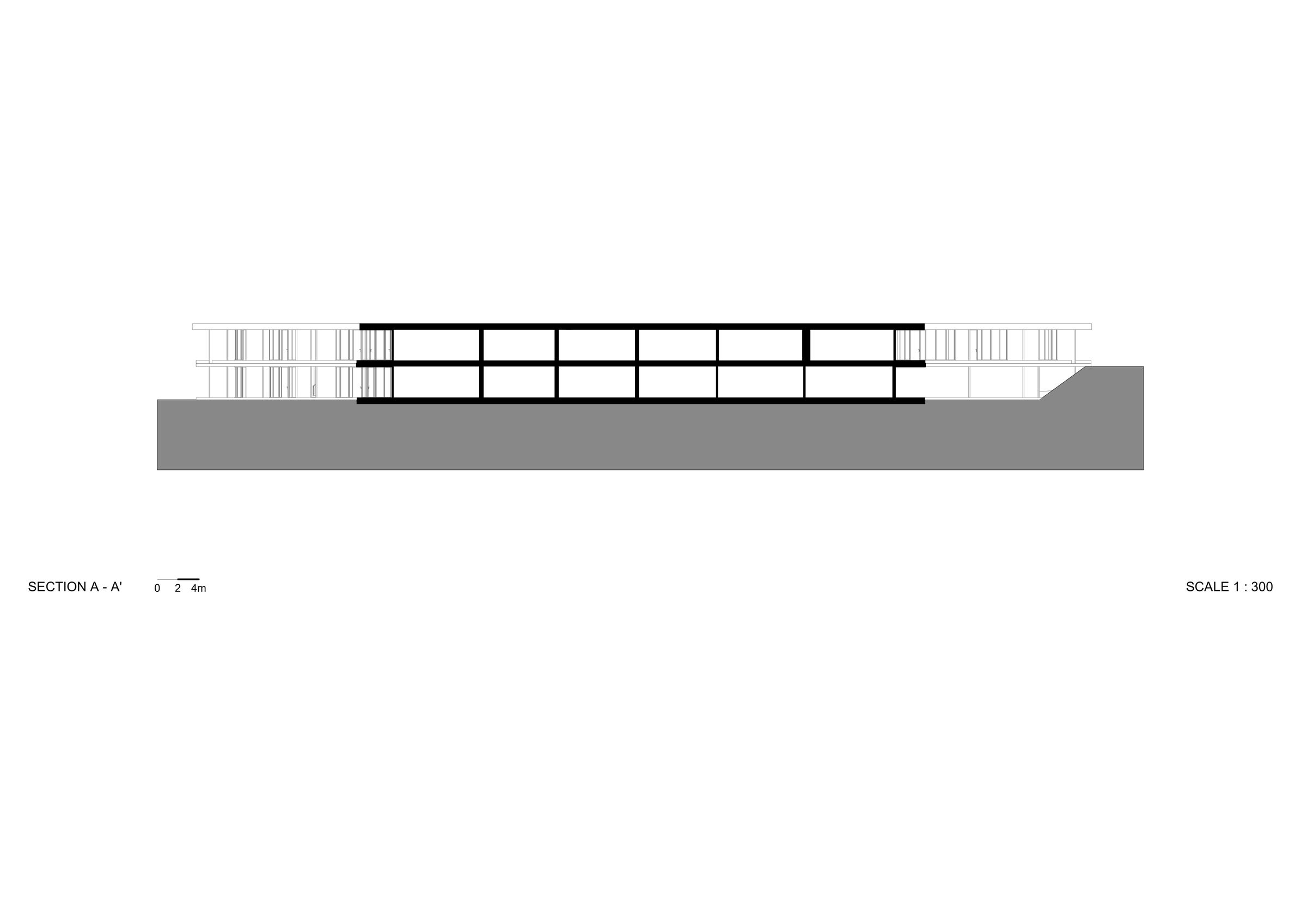 section