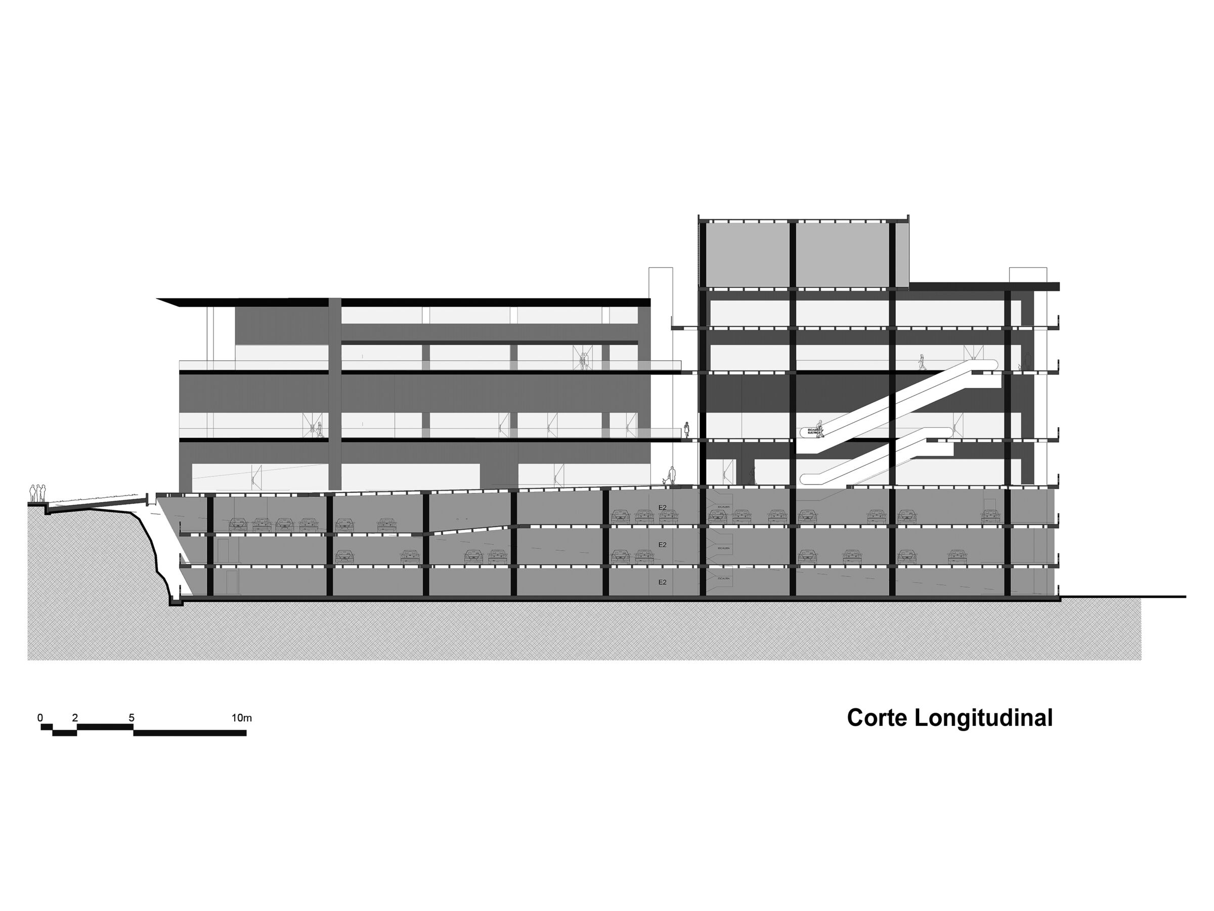 Longitudinal Cut