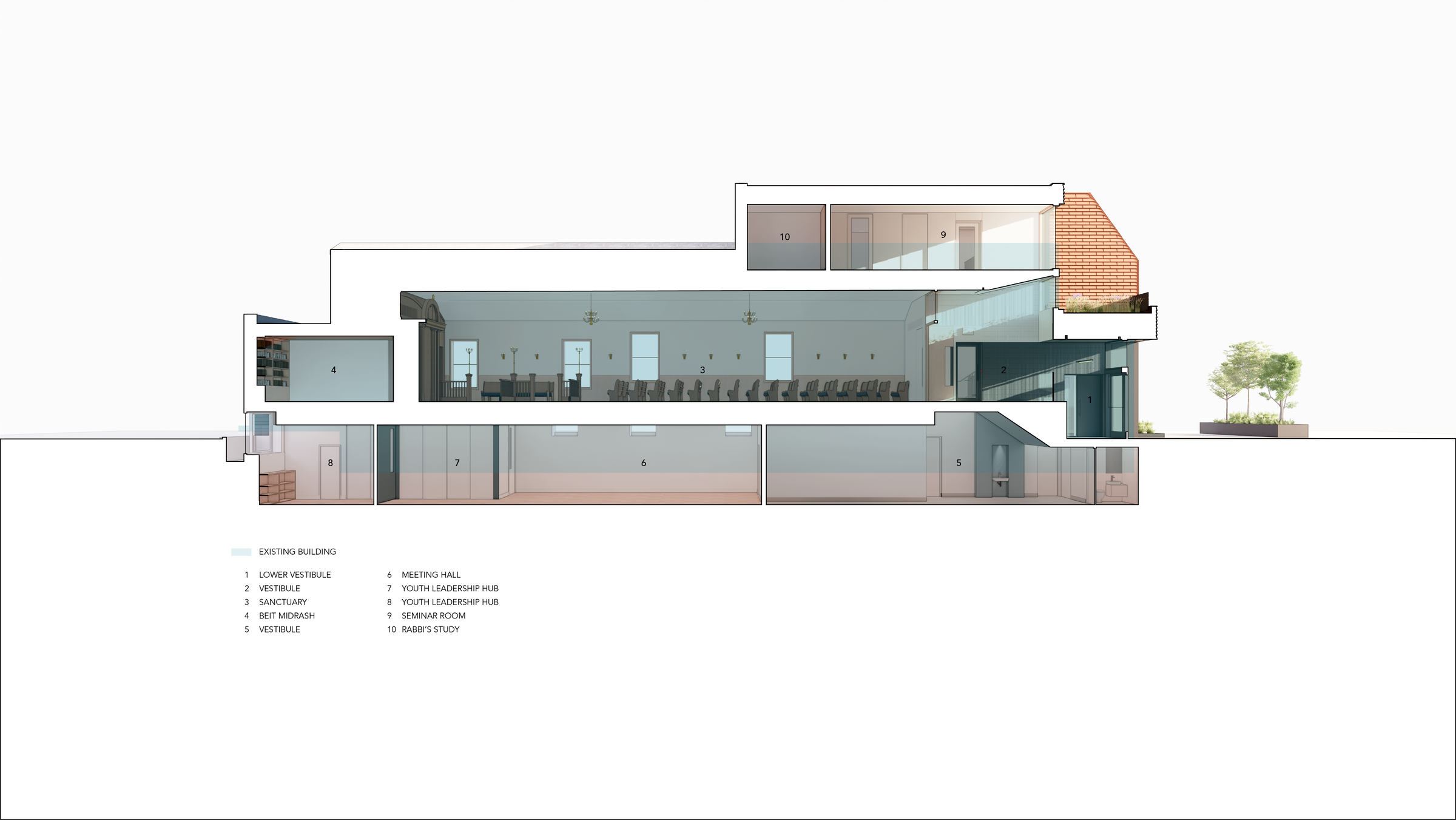 SECTION