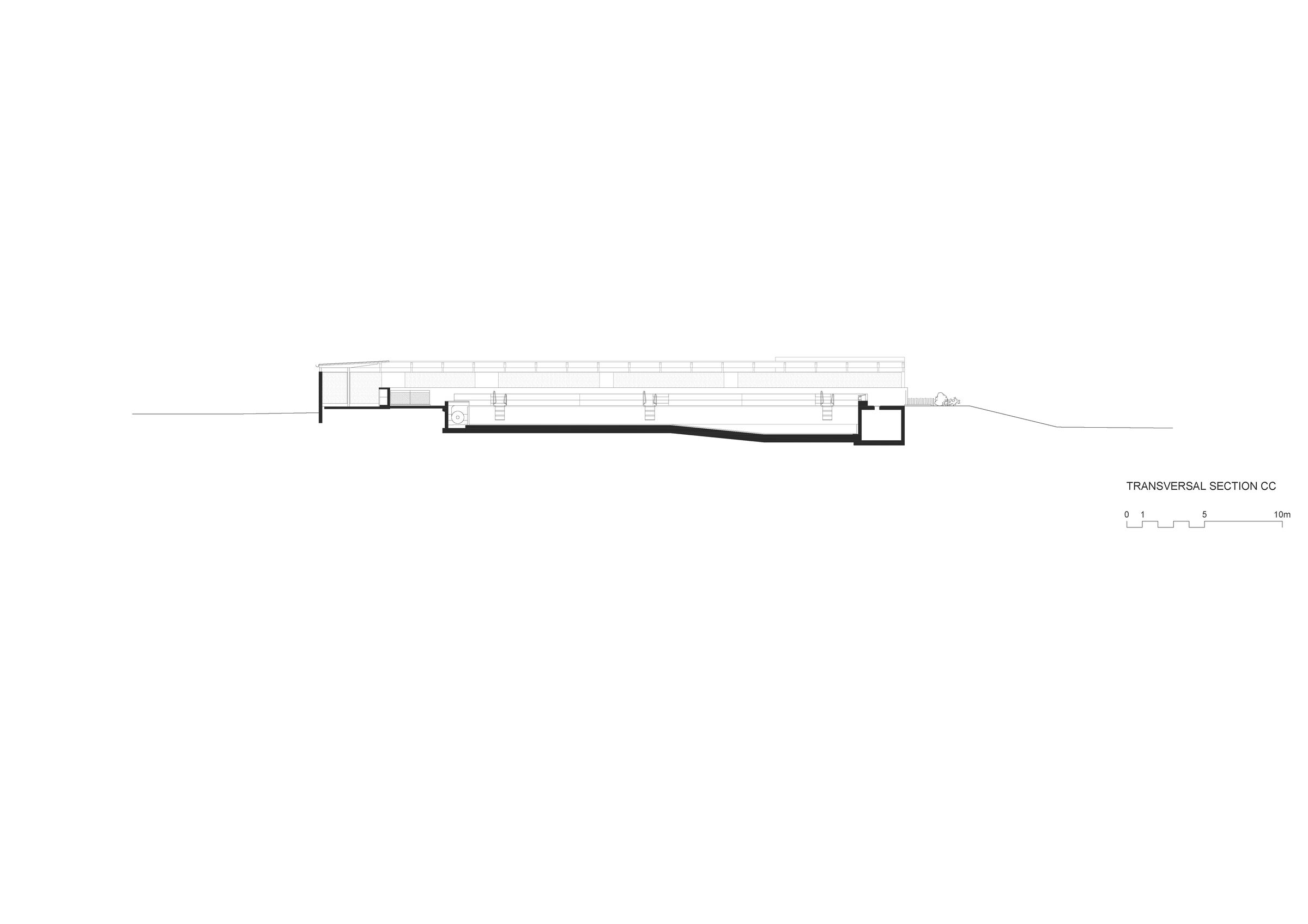 transversal section CC