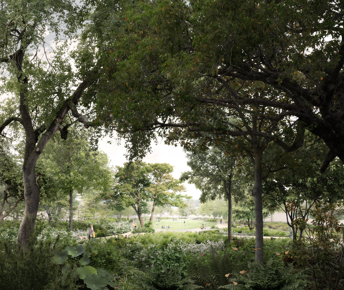 the Moerman Park as an ecological hotspot and cooling place