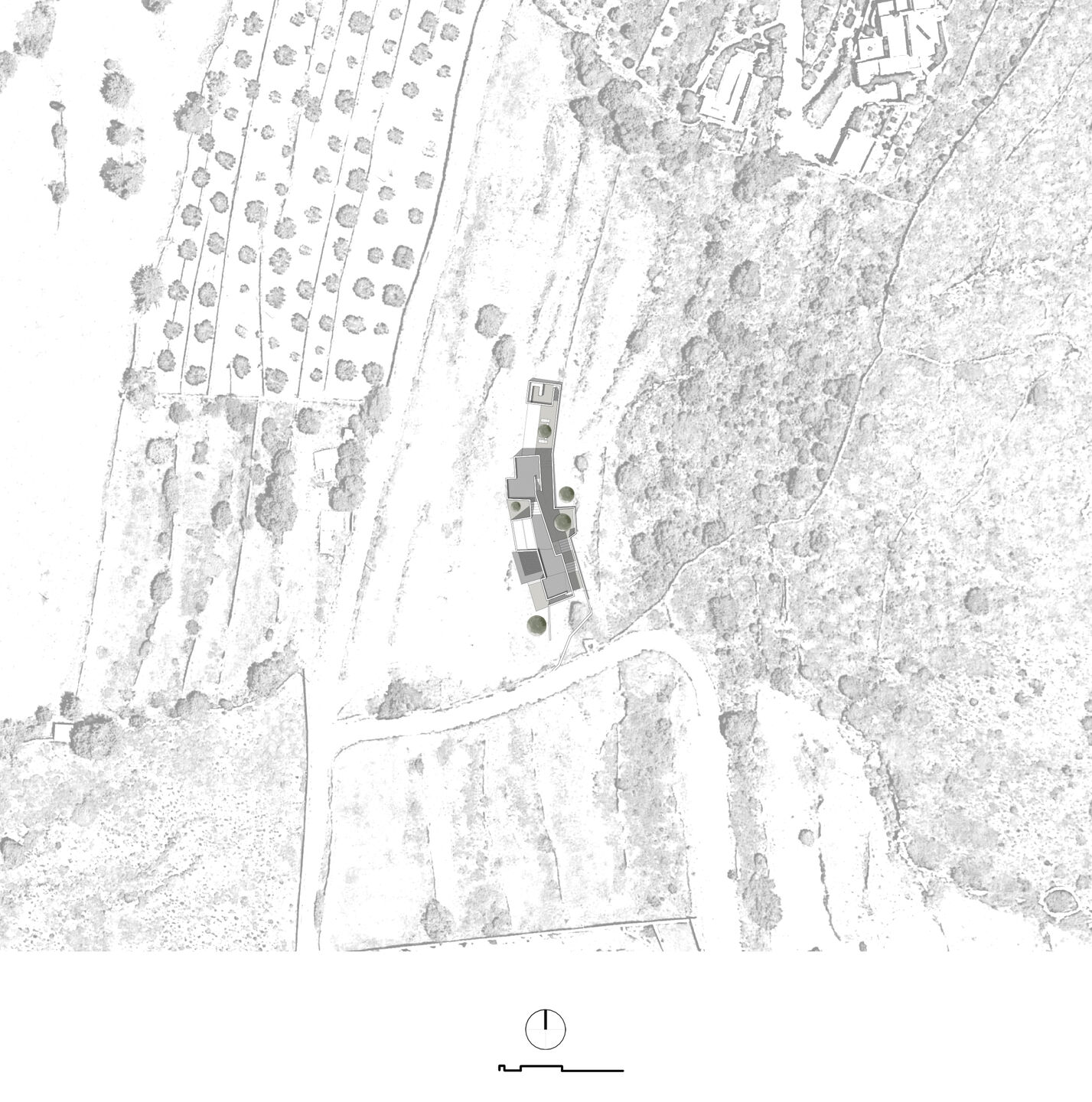 Topographic plan