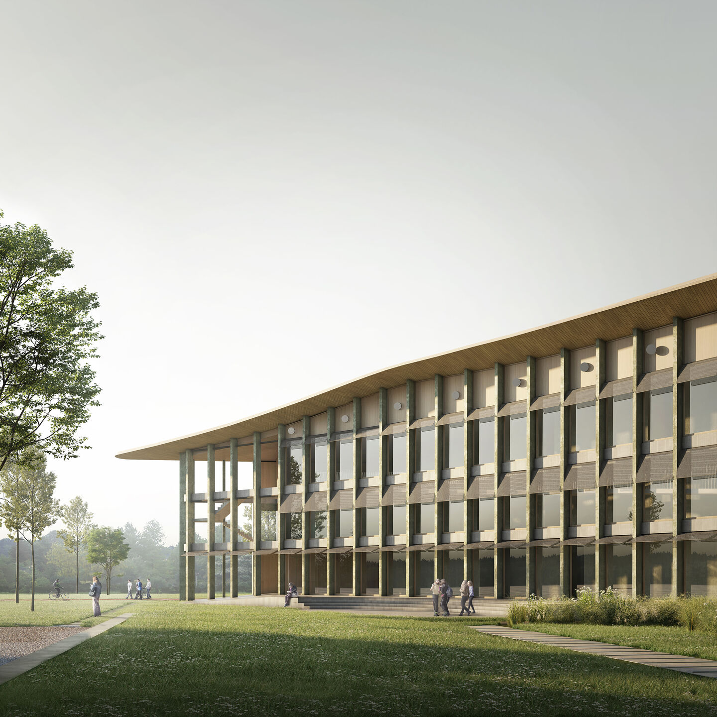 A large green space between the new building and the existing ones of the school complex.