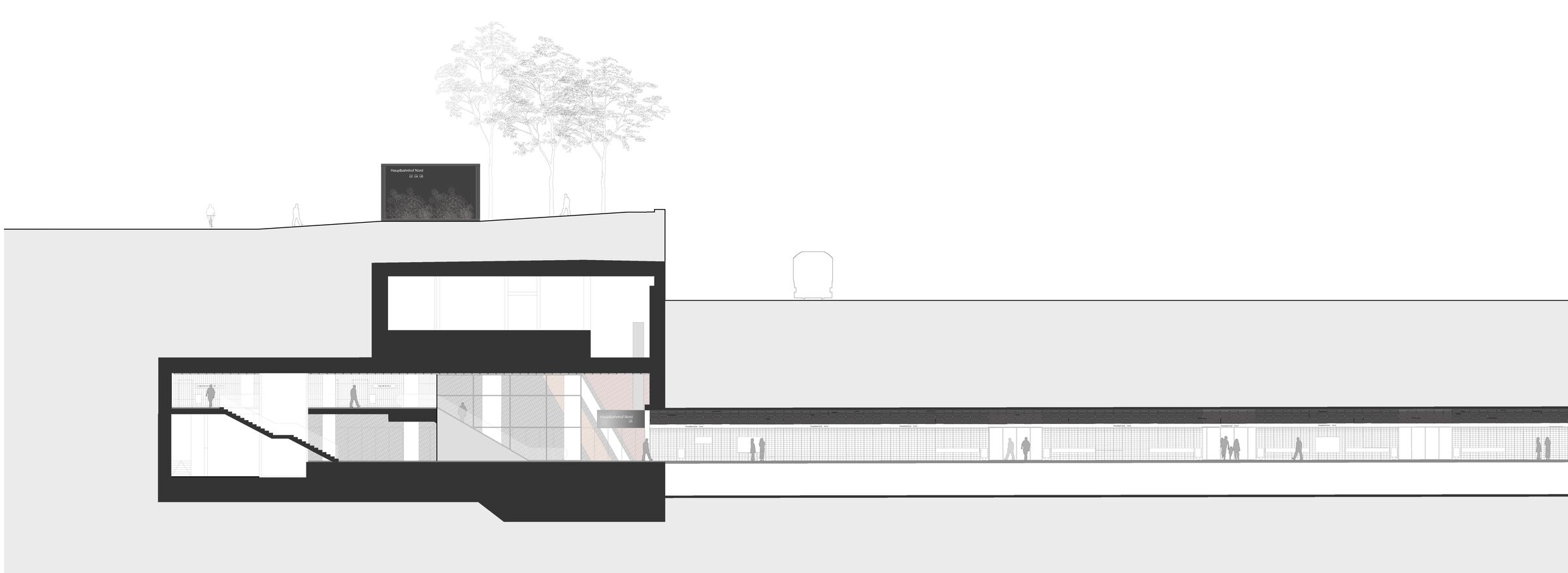 Section Drawing