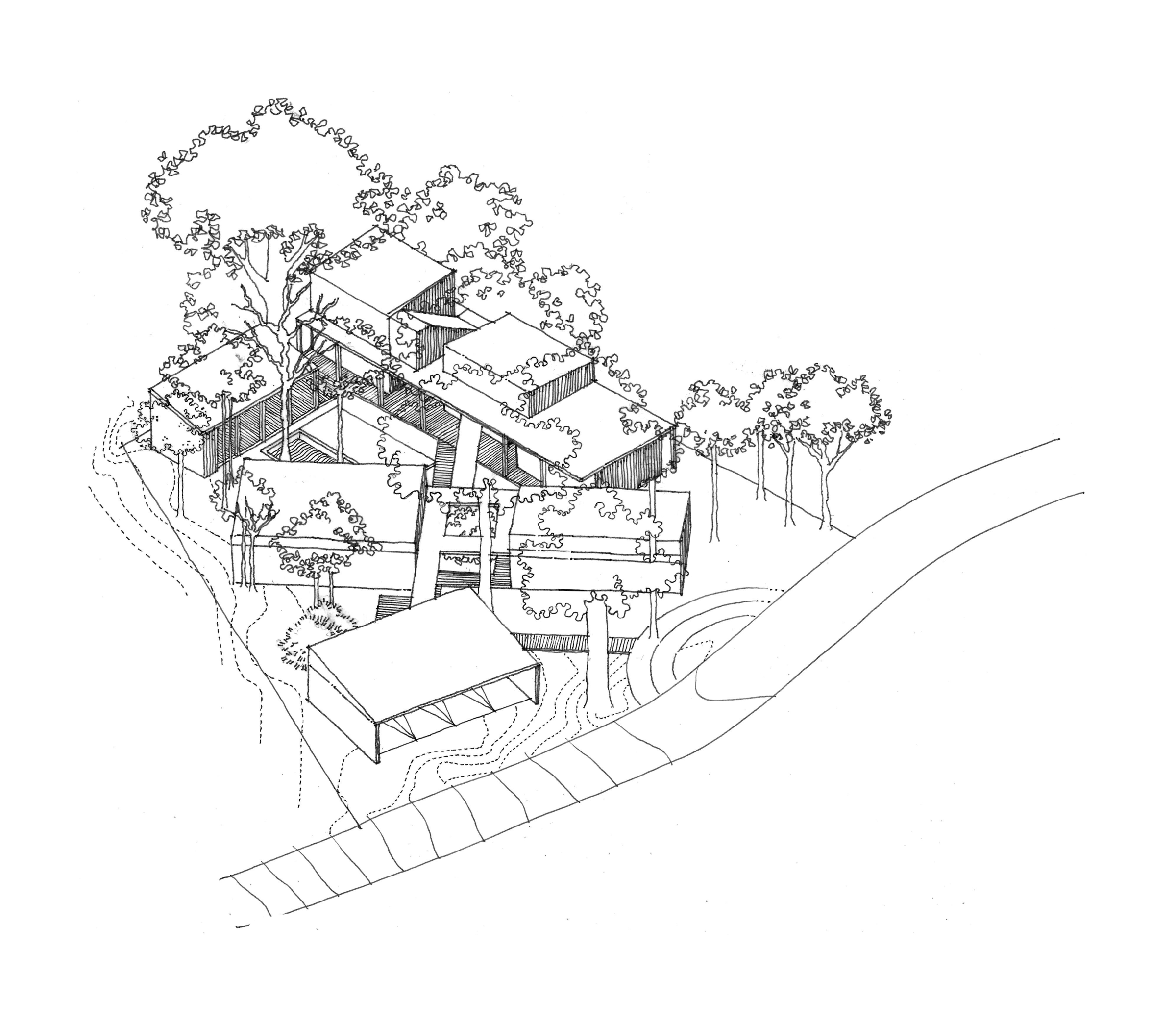 Sketch