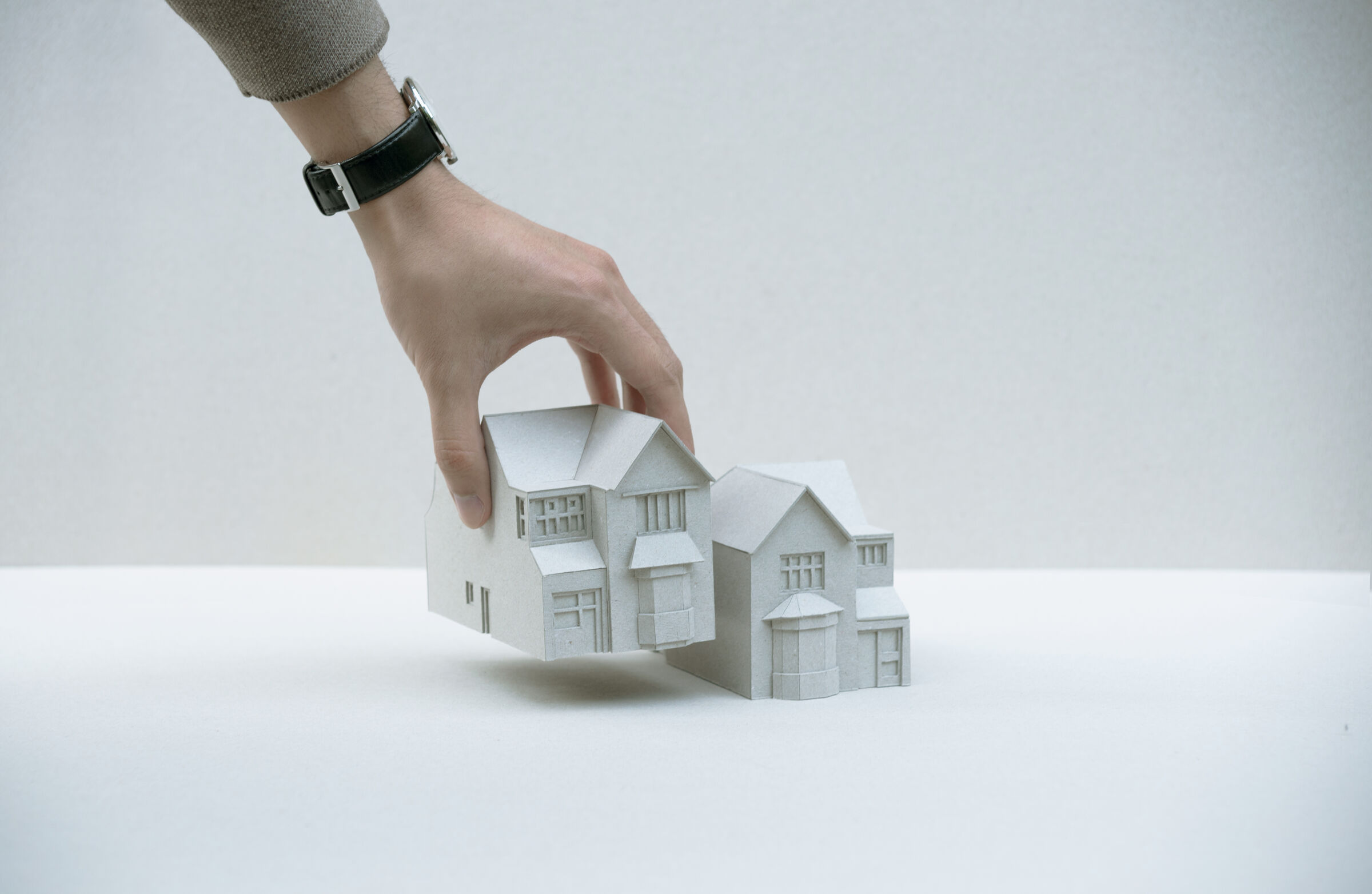Study model