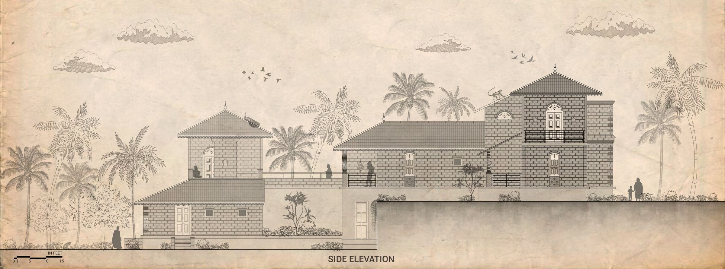 Side Elevation