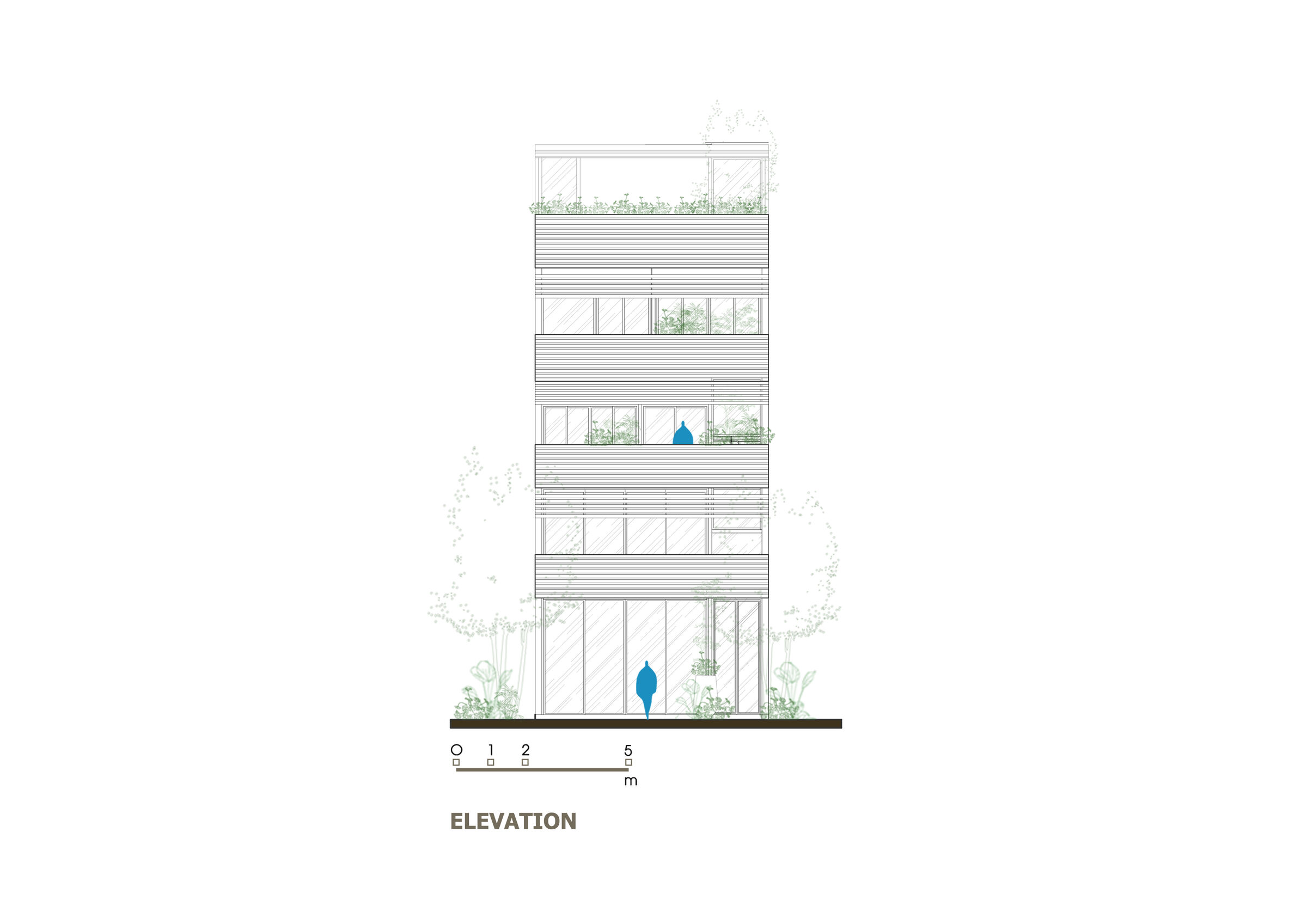 elevation