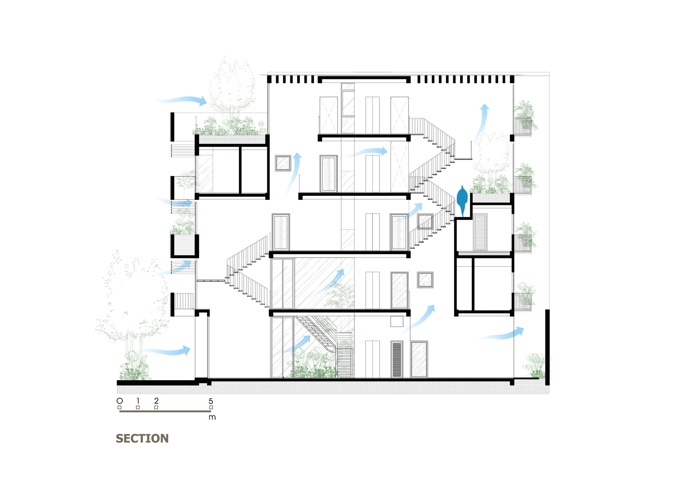section