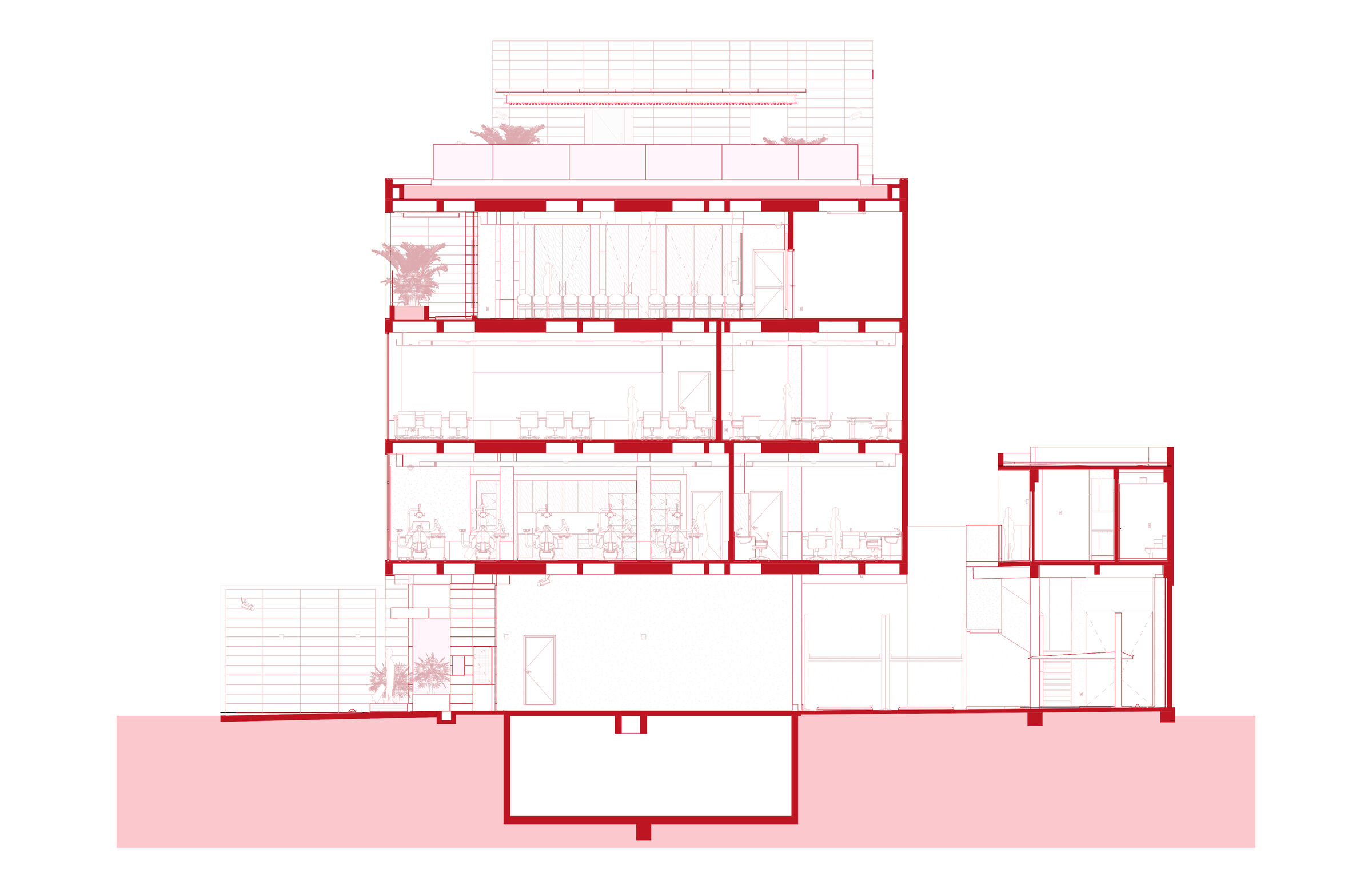 Longitudinal section