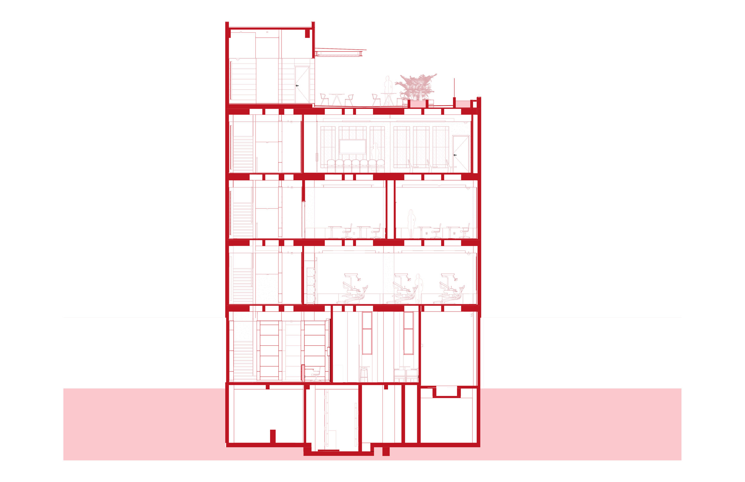 Transversal section