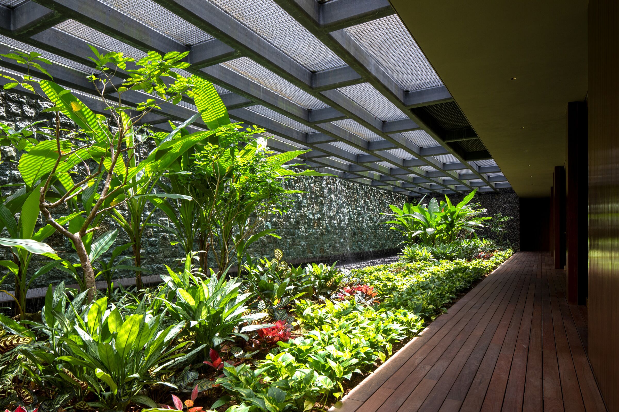 The daylit garden courtyard at the basement.