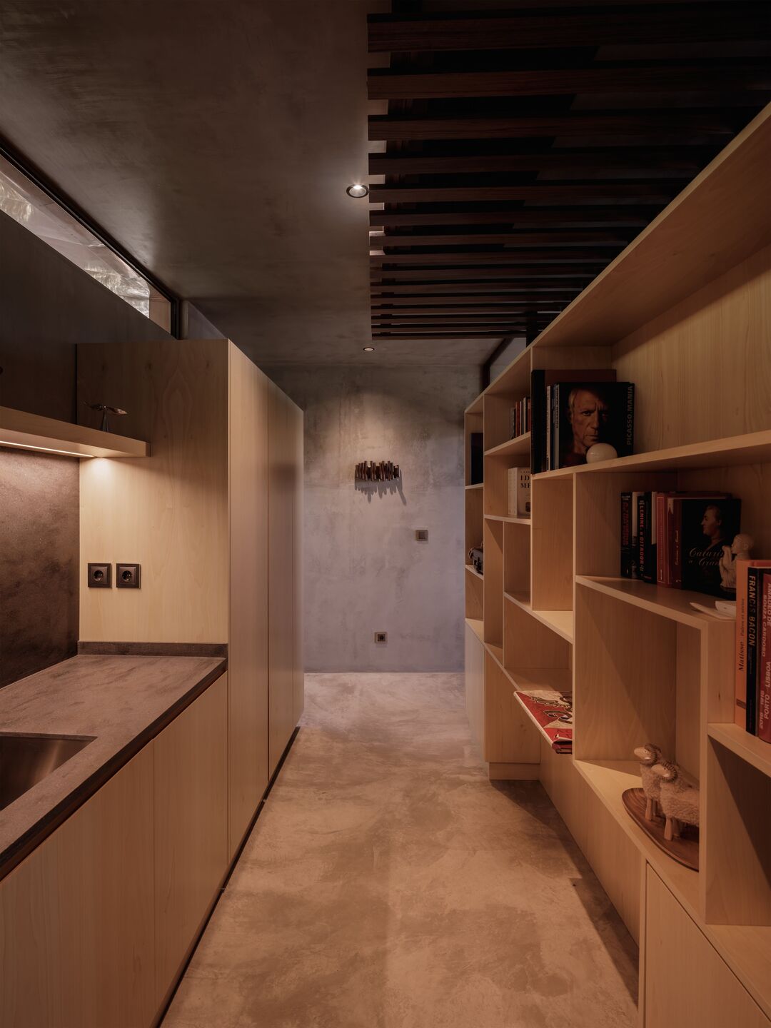 kitchen  and library
