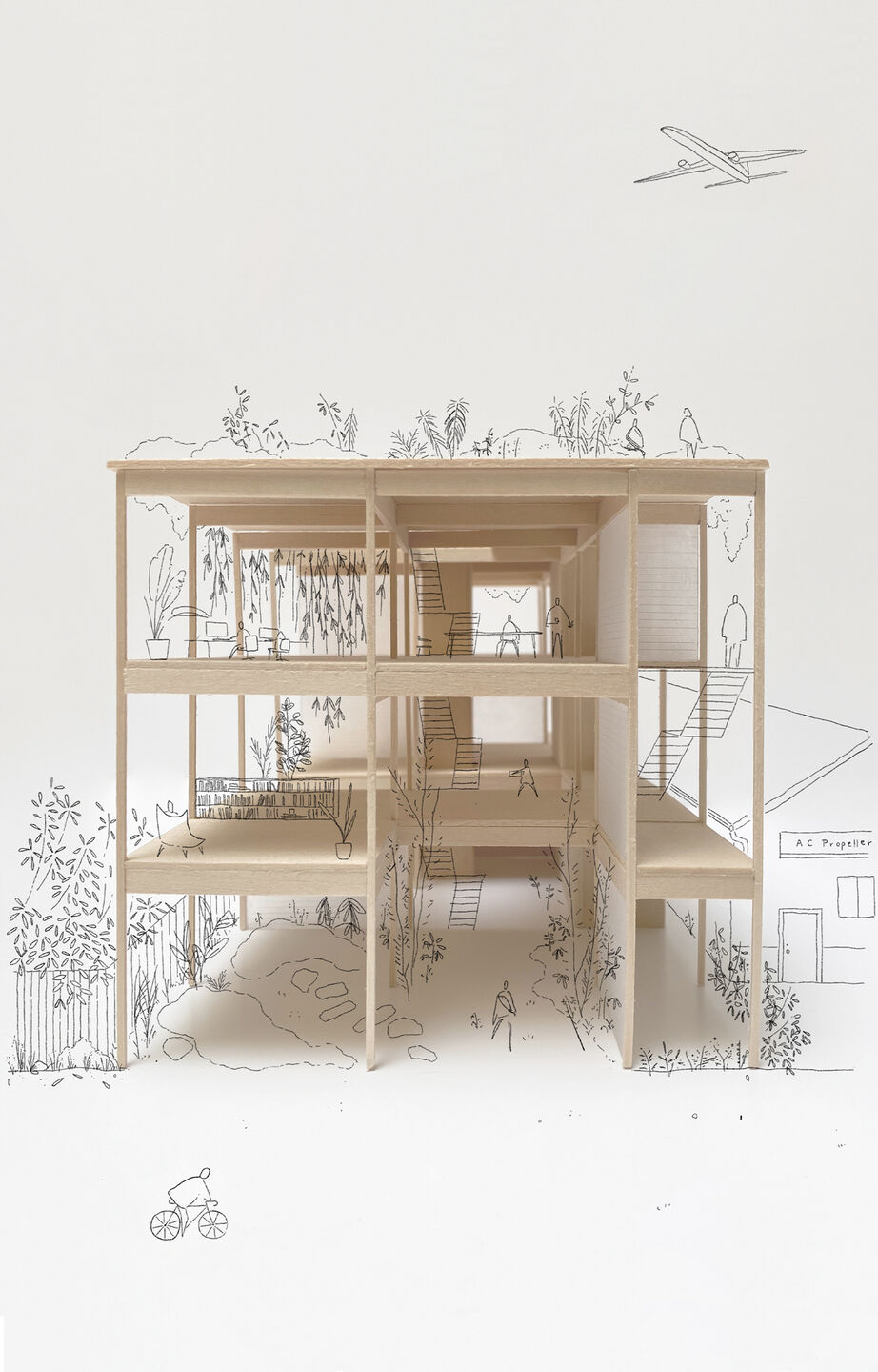 Study Model: Basswood, Acetate