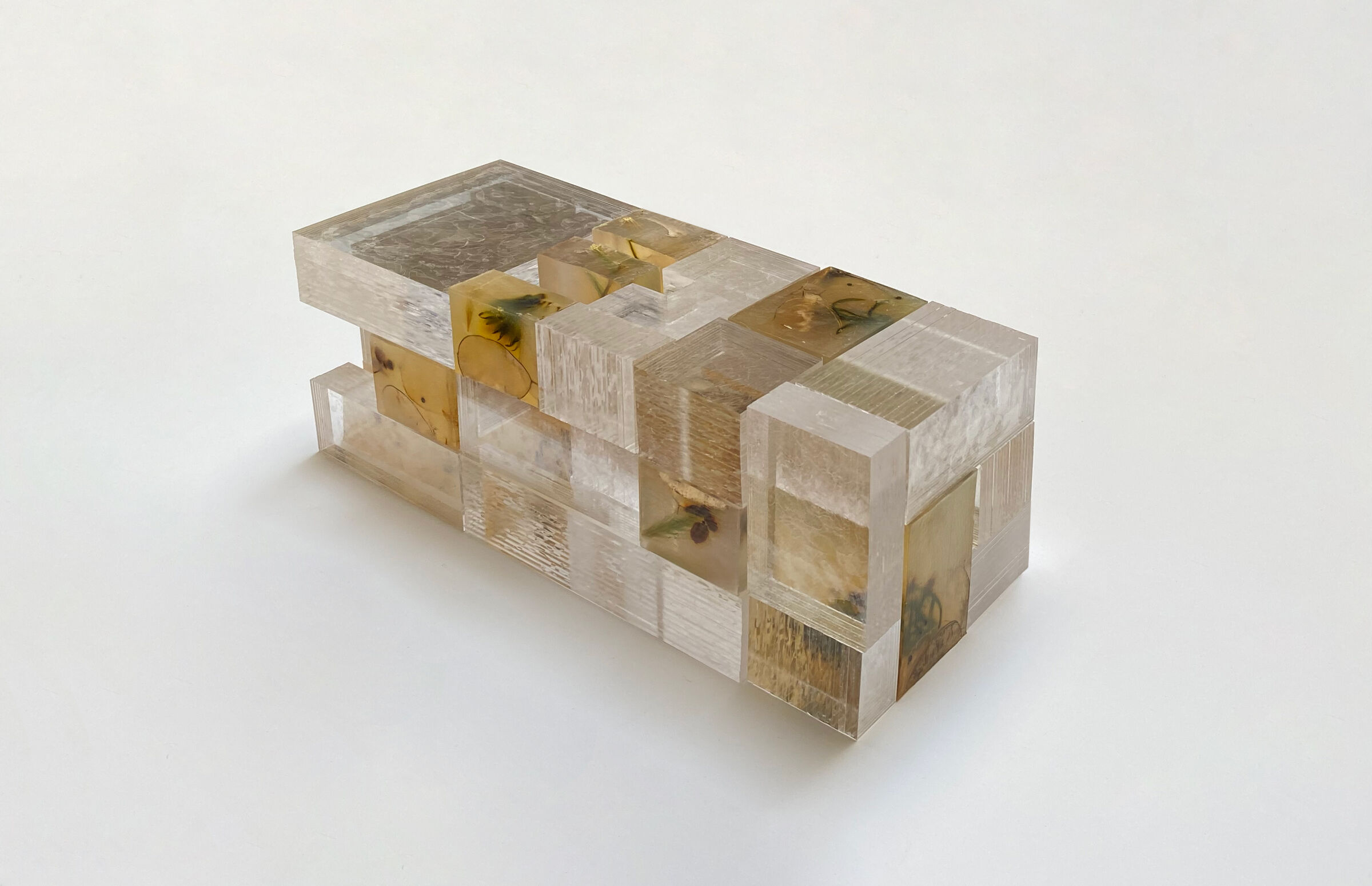 Study Model: Acrylic, Glycerin, Forage Flora