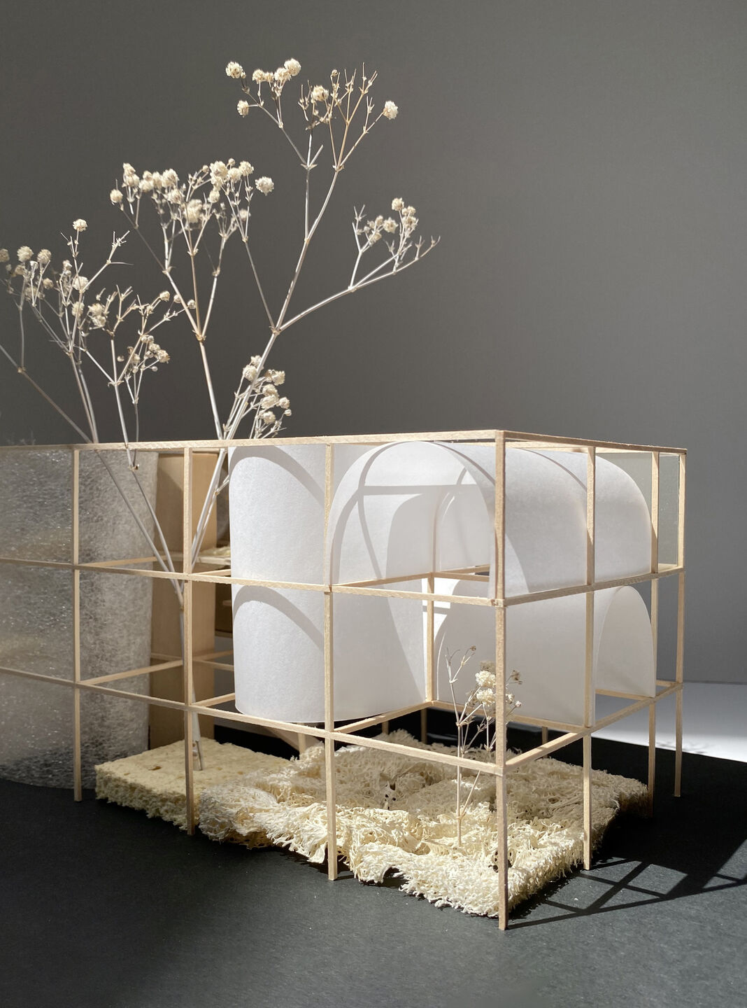 Study Model: Basswood, Paper, Sponge, Acetate