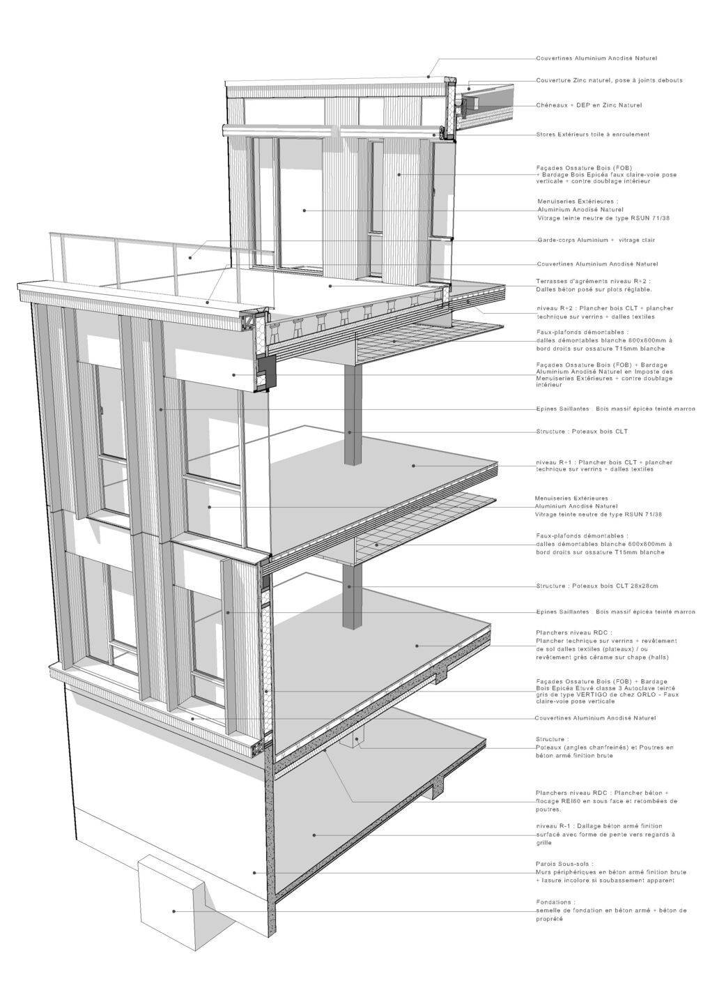 3D section (grayscale)