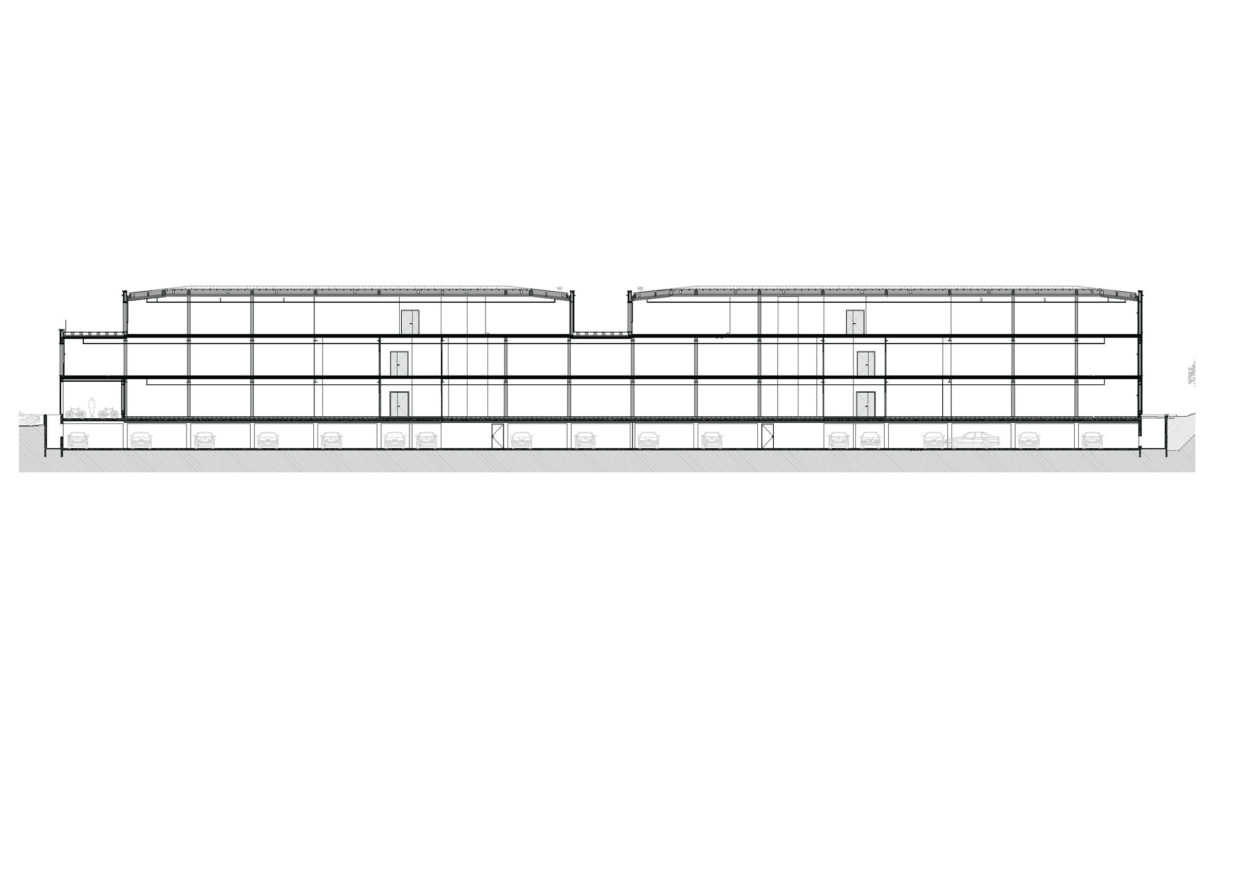 Longitudinal Section (2)