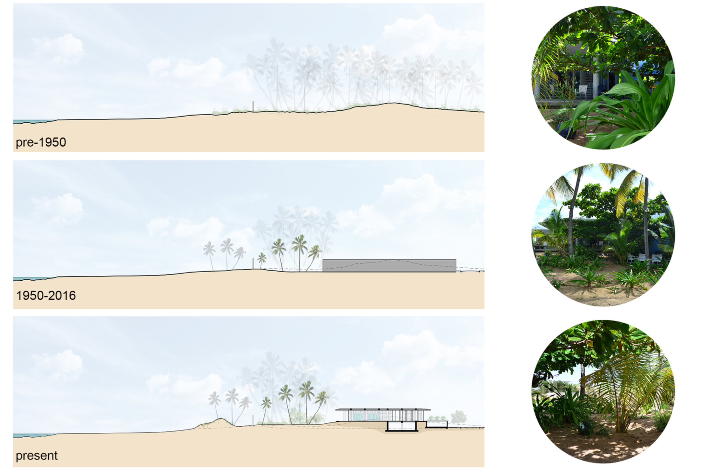 Terrain and Vegetation Diagram