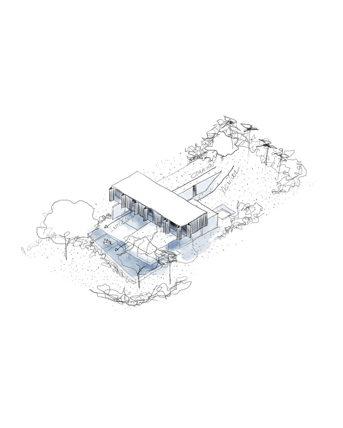 illustration