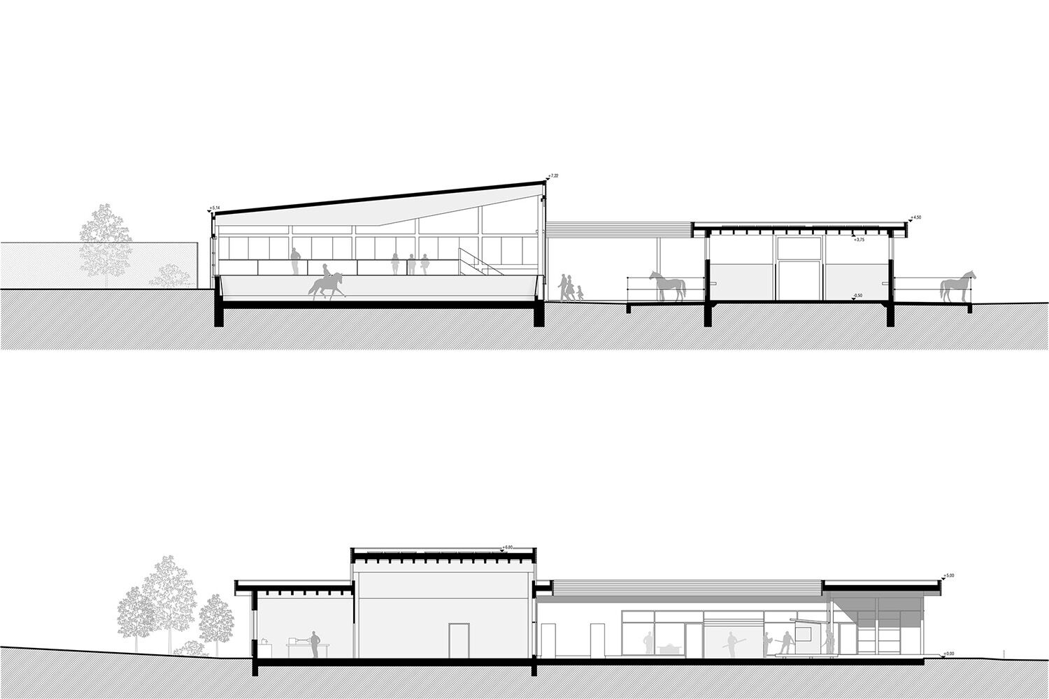 section