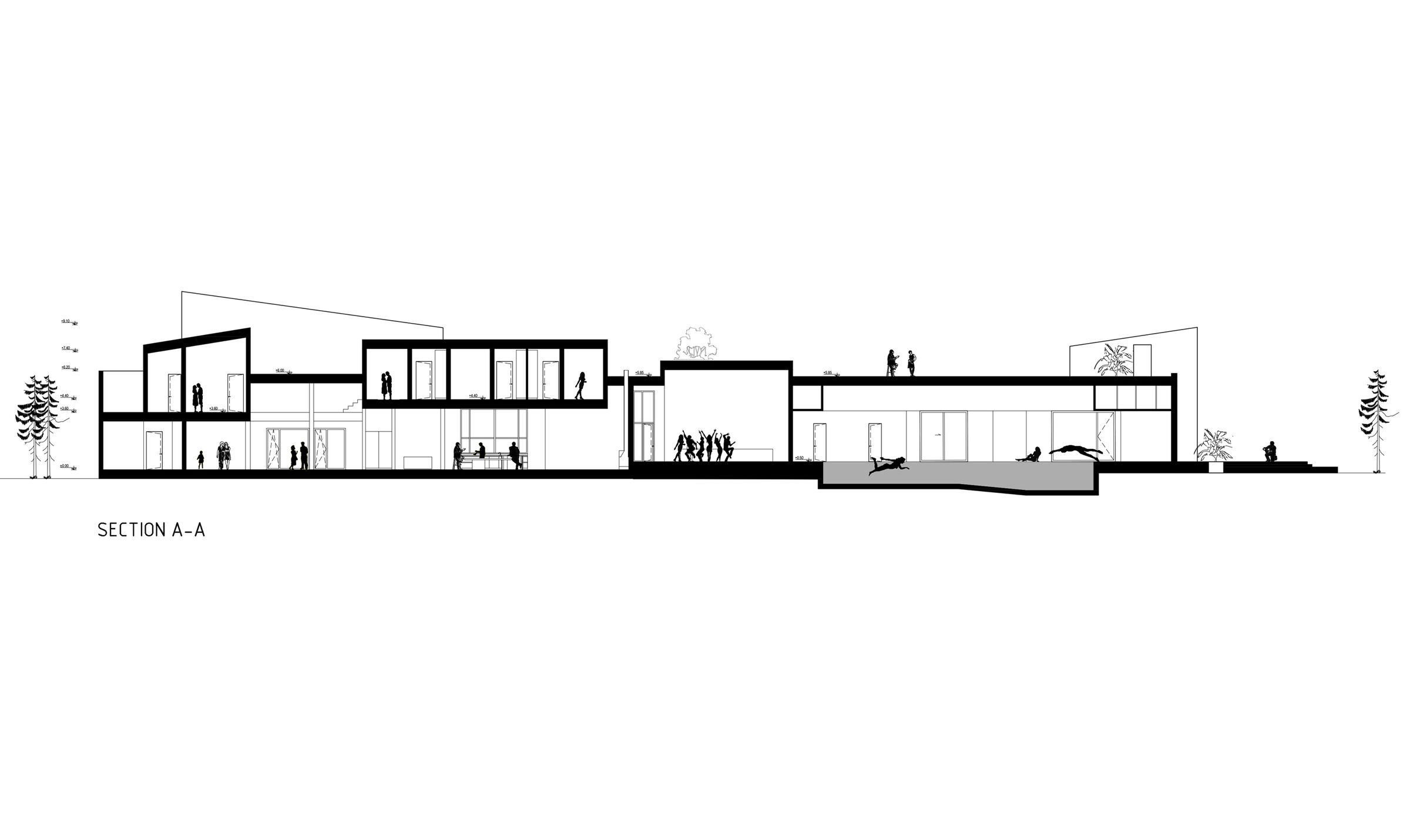 section