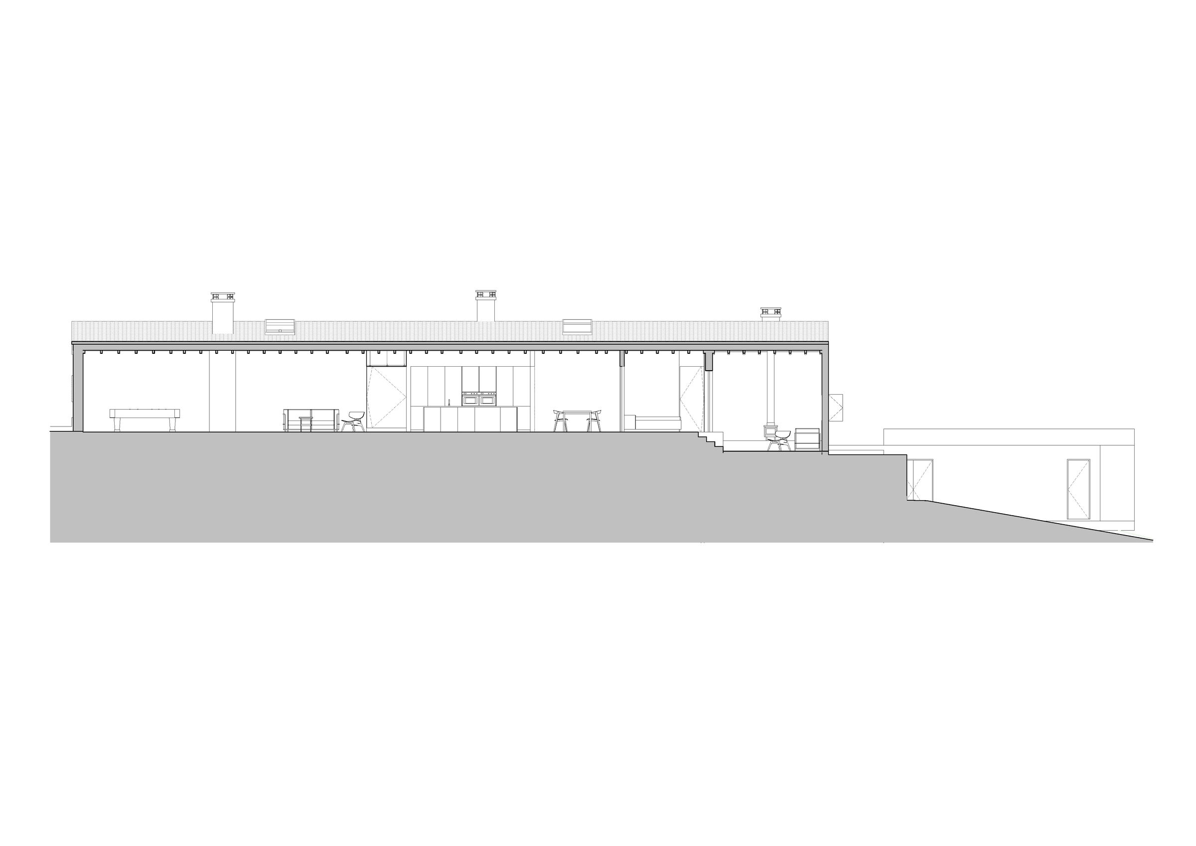 Longitudinal Section