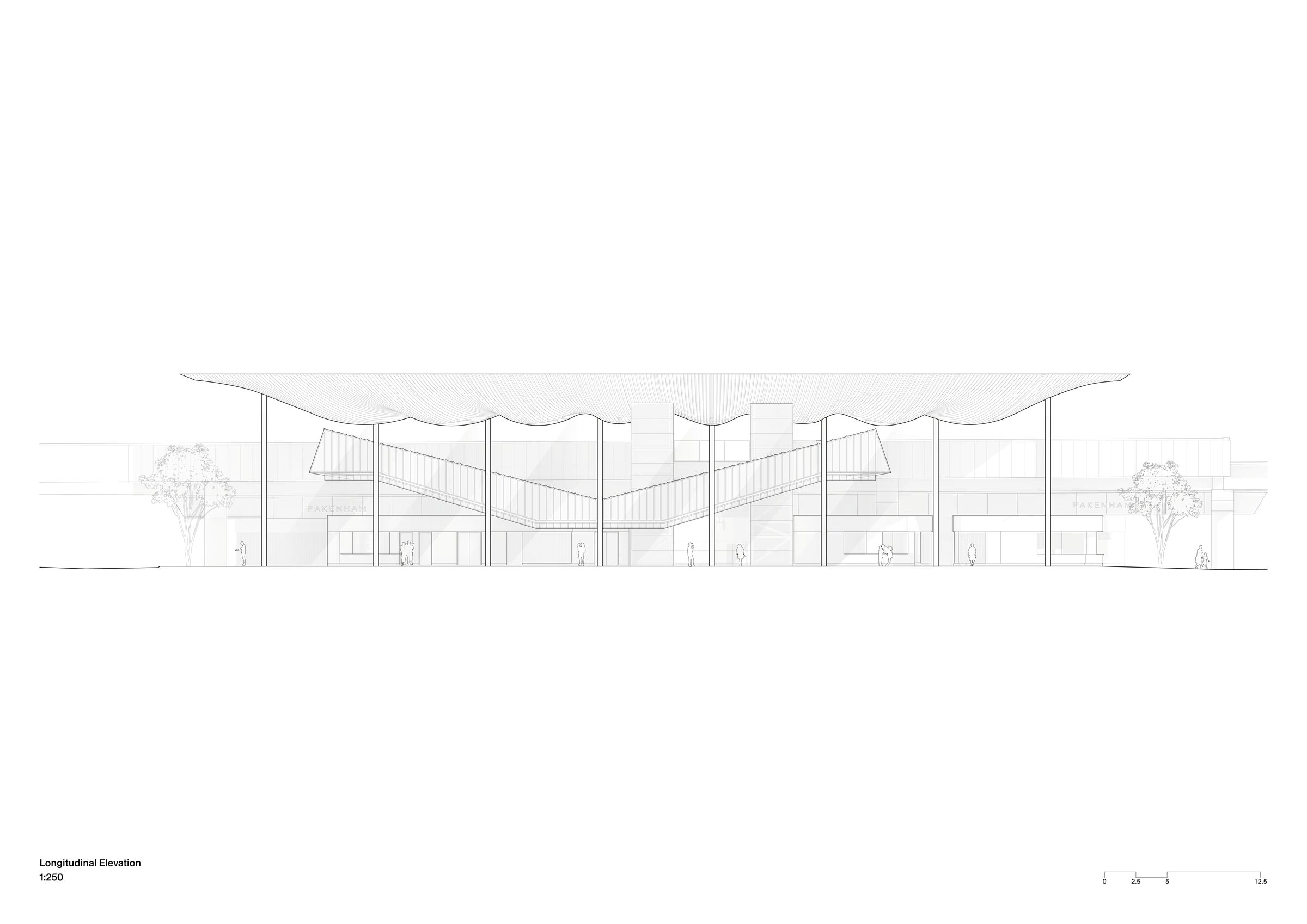 Longitudinal Elevation 1:250