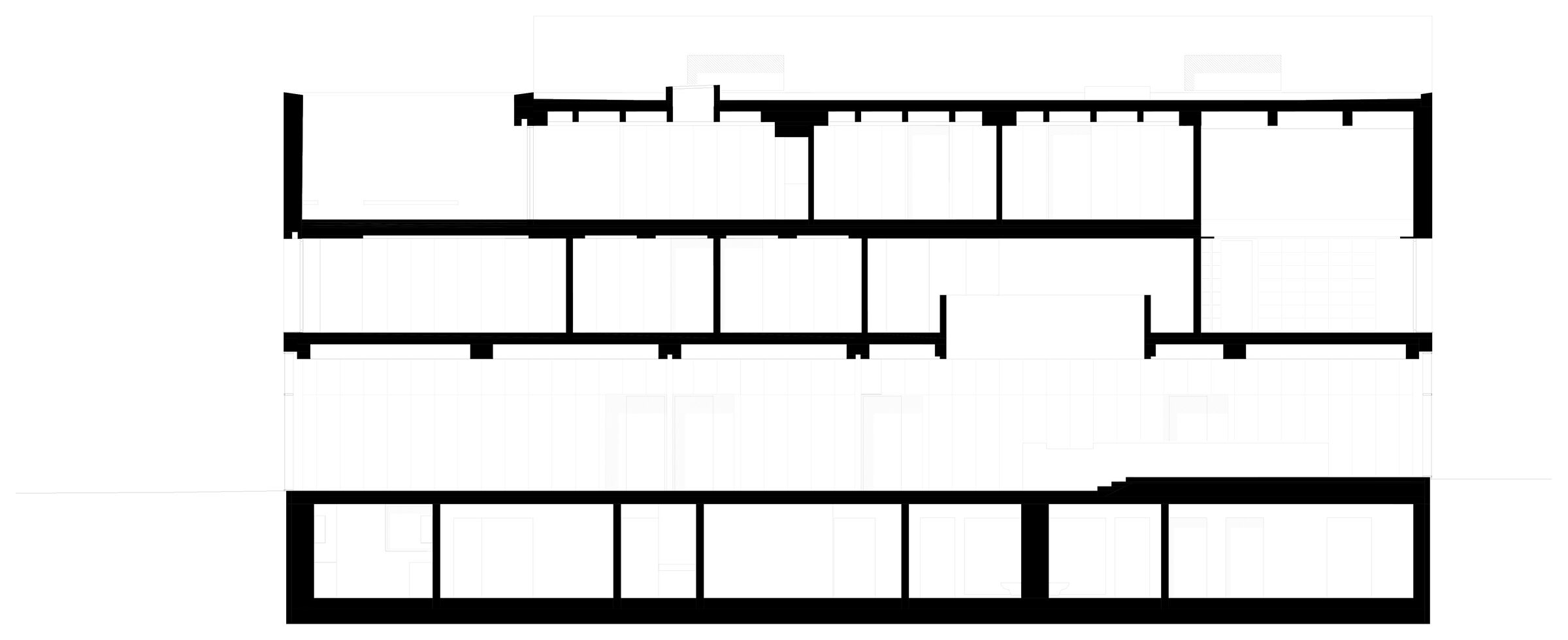 Longitudinal Section
