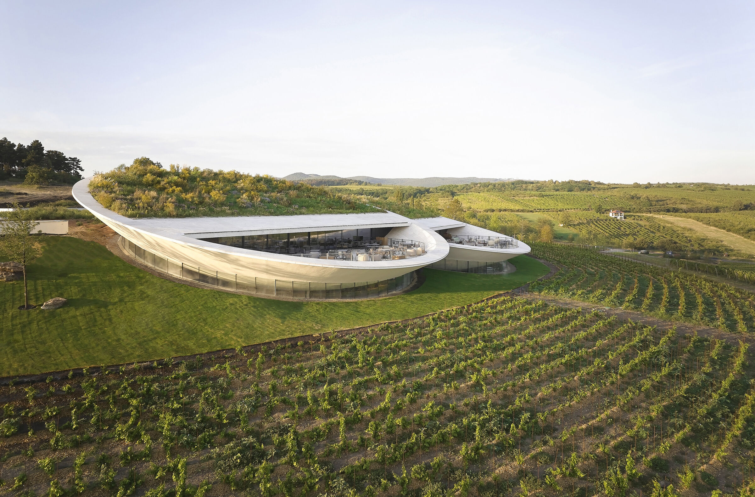 Crisantemo Planta De Jardín Casero PNG ,dibujos Crisantemo, Verde, Flor PNG  Imagen para Descarga Gratuita | Pngtree, image size:2400x1579