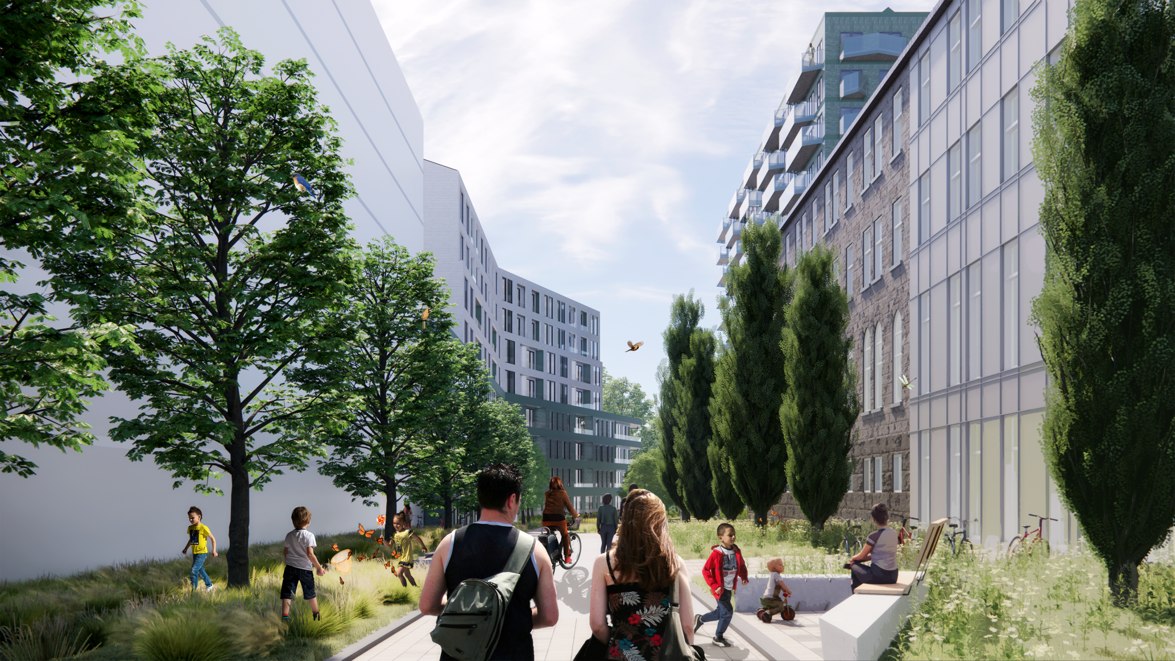 The promenades encourage walking, cycling, and social interactions. The redeveloped site connects Rosemont Blvd. to the woodland through accessible pathways, gardens and carefully framed visual corridors that create clear sightlines into the urban forest.