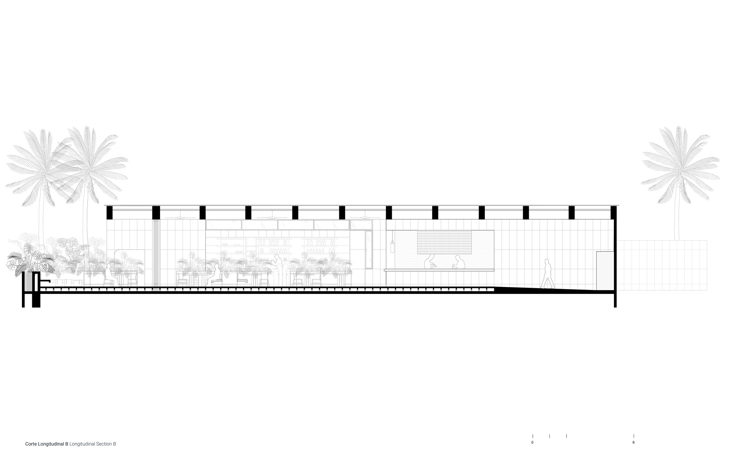Corte Longitudinal B